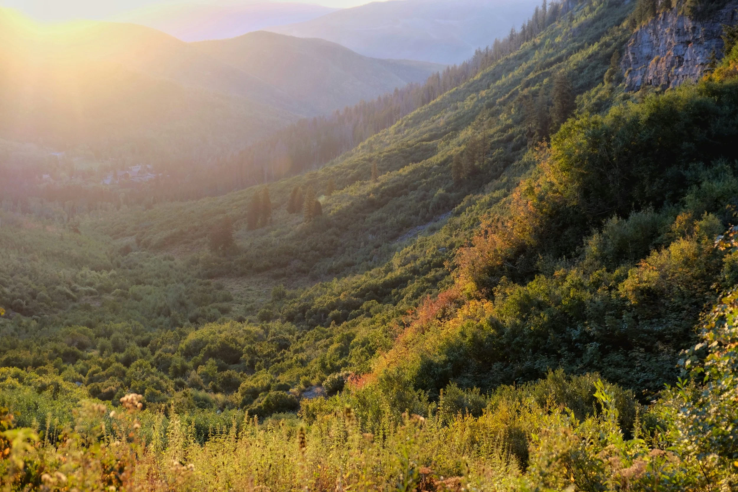 Sunset over a lush green mountain valley with dense trees and rocky cliffs to the right.