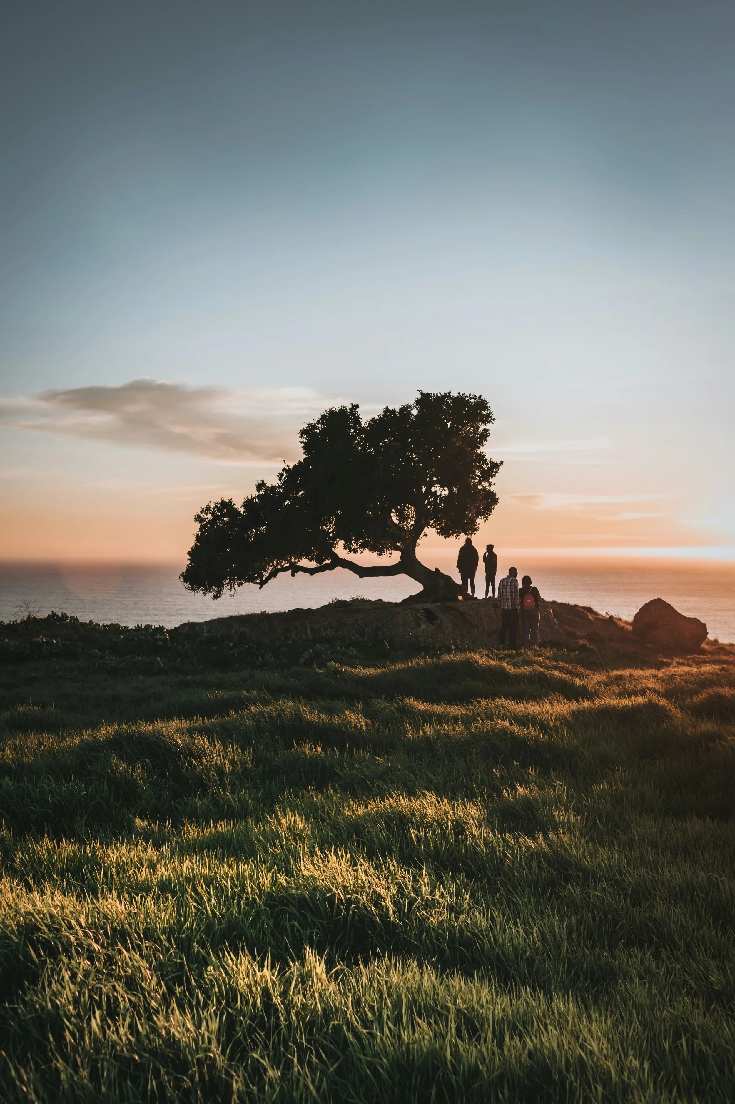 silhouetted group of people under a large tree on a grassy hill at sunset, with calm ocean in the background