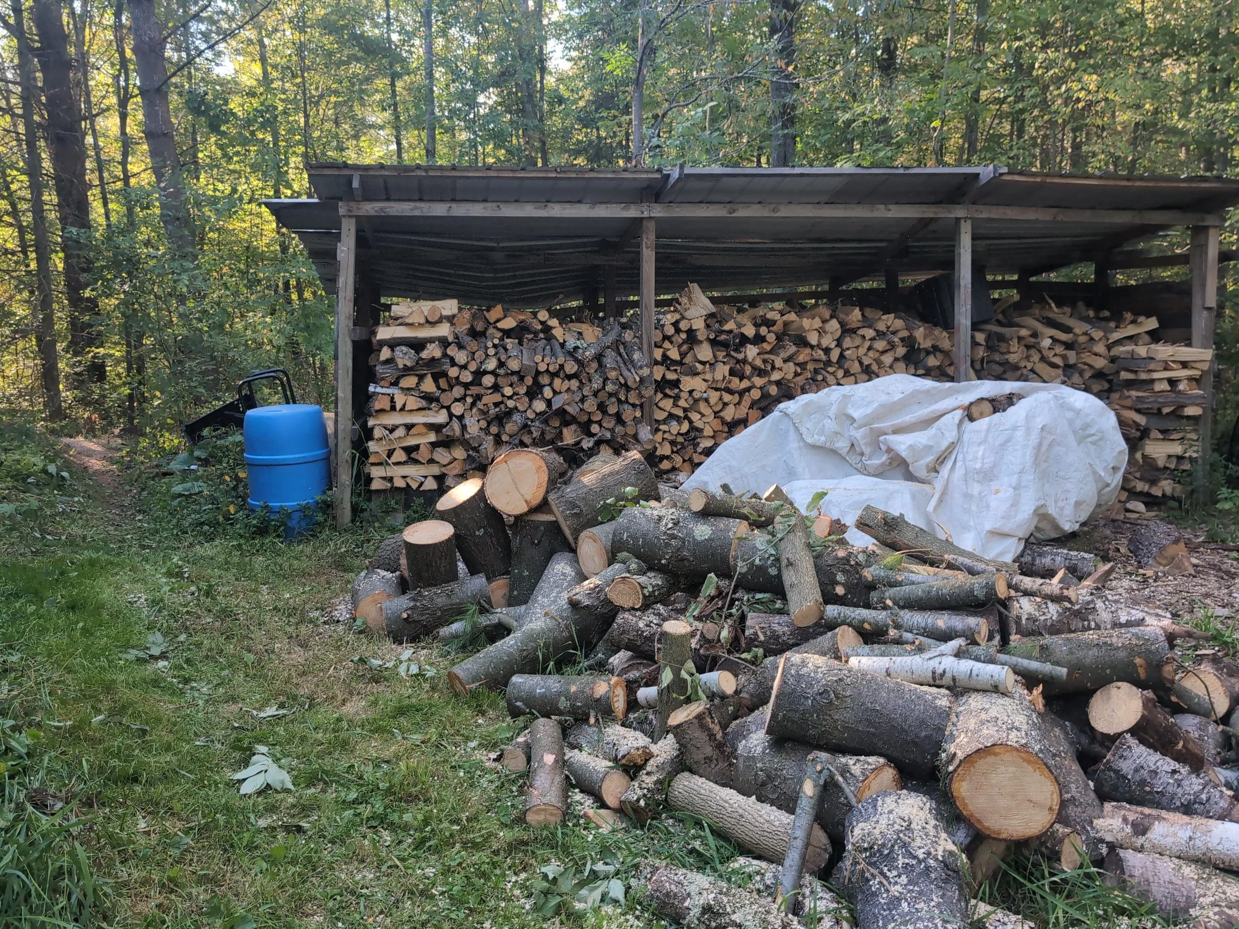 2024-09-15-17-00-34-250.jpg_Sun Sep 15 17_02_16 CDT 2024.jpg