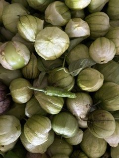 IMG_1639 Small.jpeg