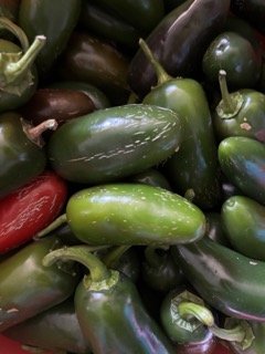 IMG_1638 Small.jpeg