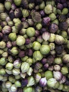 IMG_1637 Small.jpeg