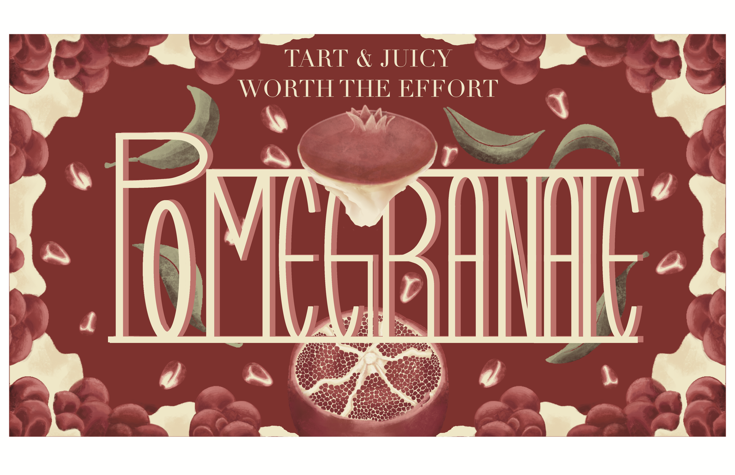 Illustrated assets for a pomegranate based advertisement 