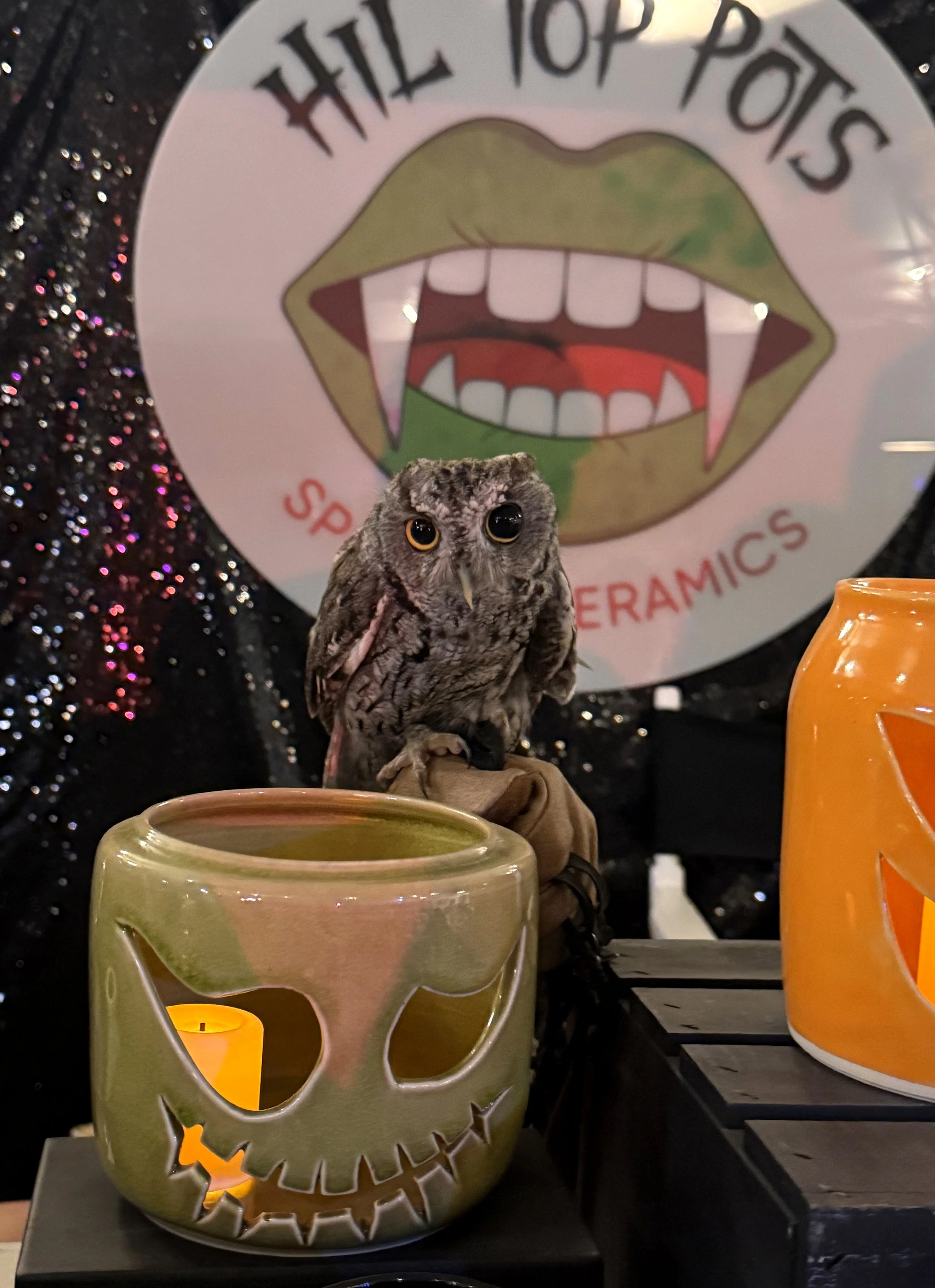 HTP_Owl.jpg