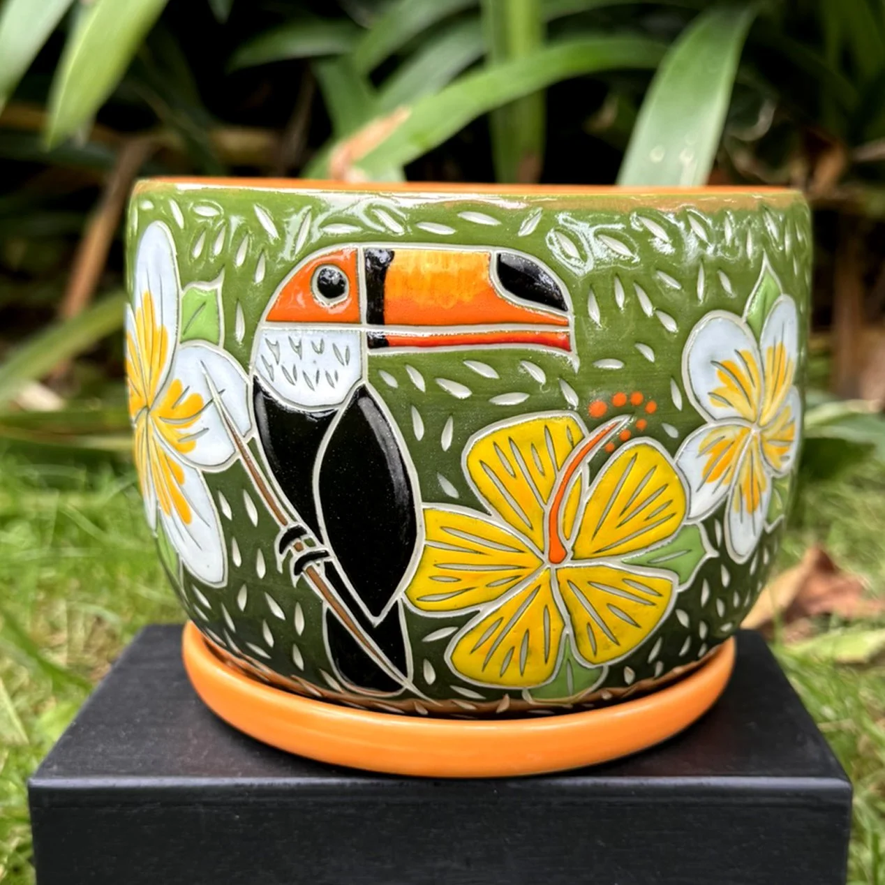 HTP_ToucanPlanter1.jpg