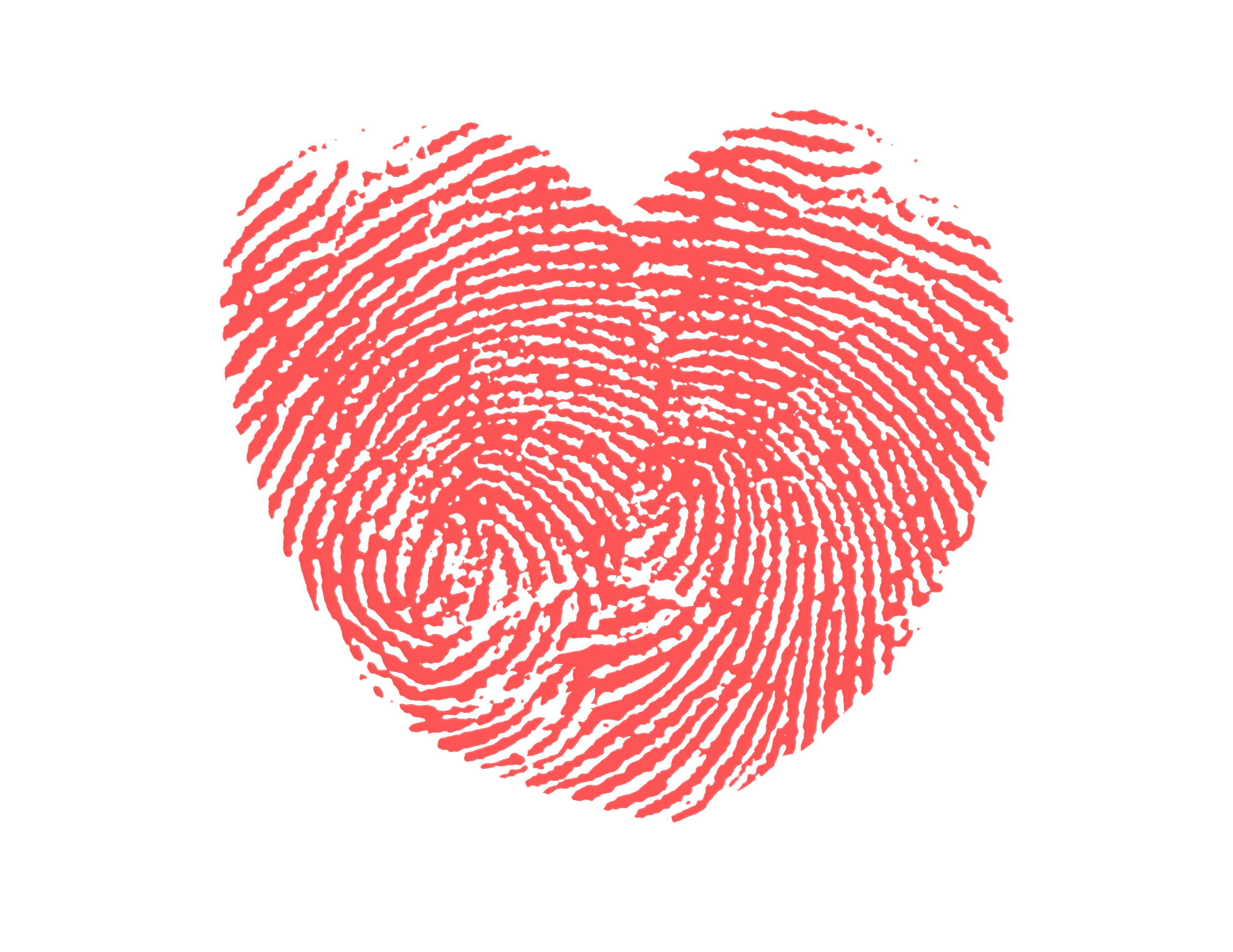 $5.00 Discretionary Donation