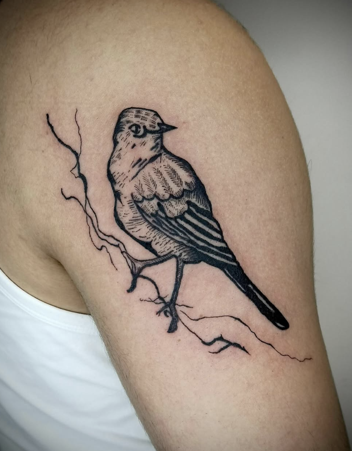 Tattoo eines Vogels auf dem Oberarm eines Menschen, mit Zweigen und Blattwerk