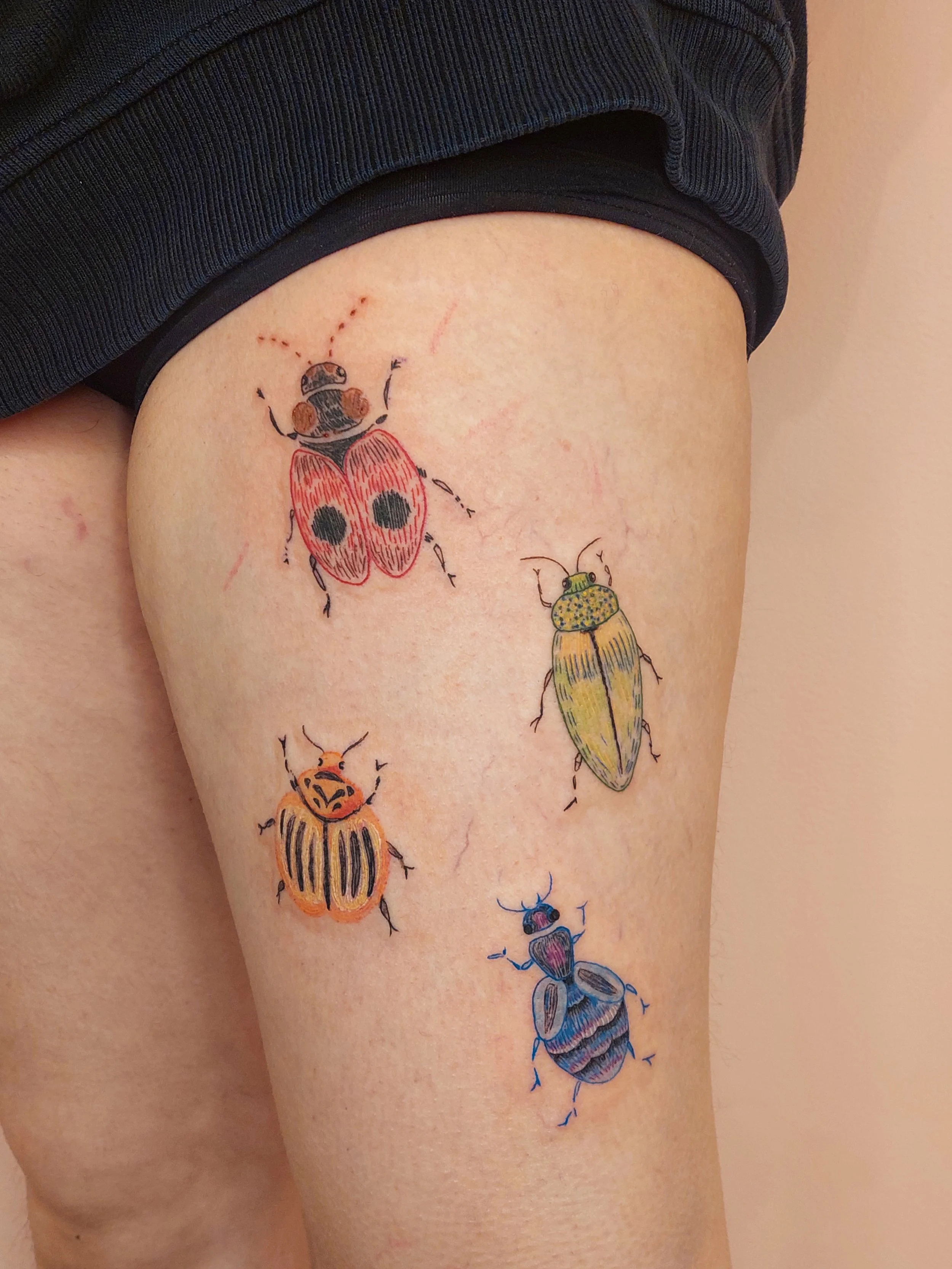 Steff_biscuitsandbunnies_Tattoo_Wien_Käfer_20241211_205805.jpg