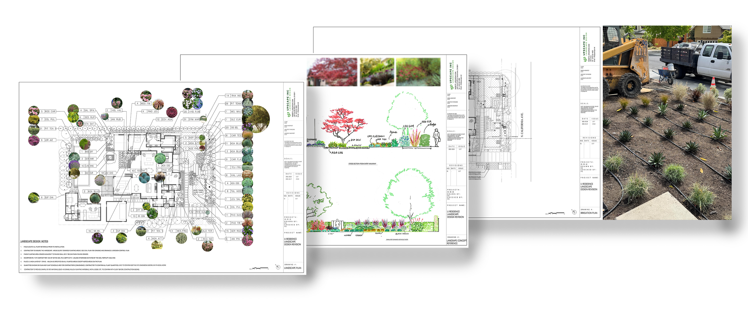 Collage of landscape plans, plant illustrations, and a planting site with plants and construction equipment.