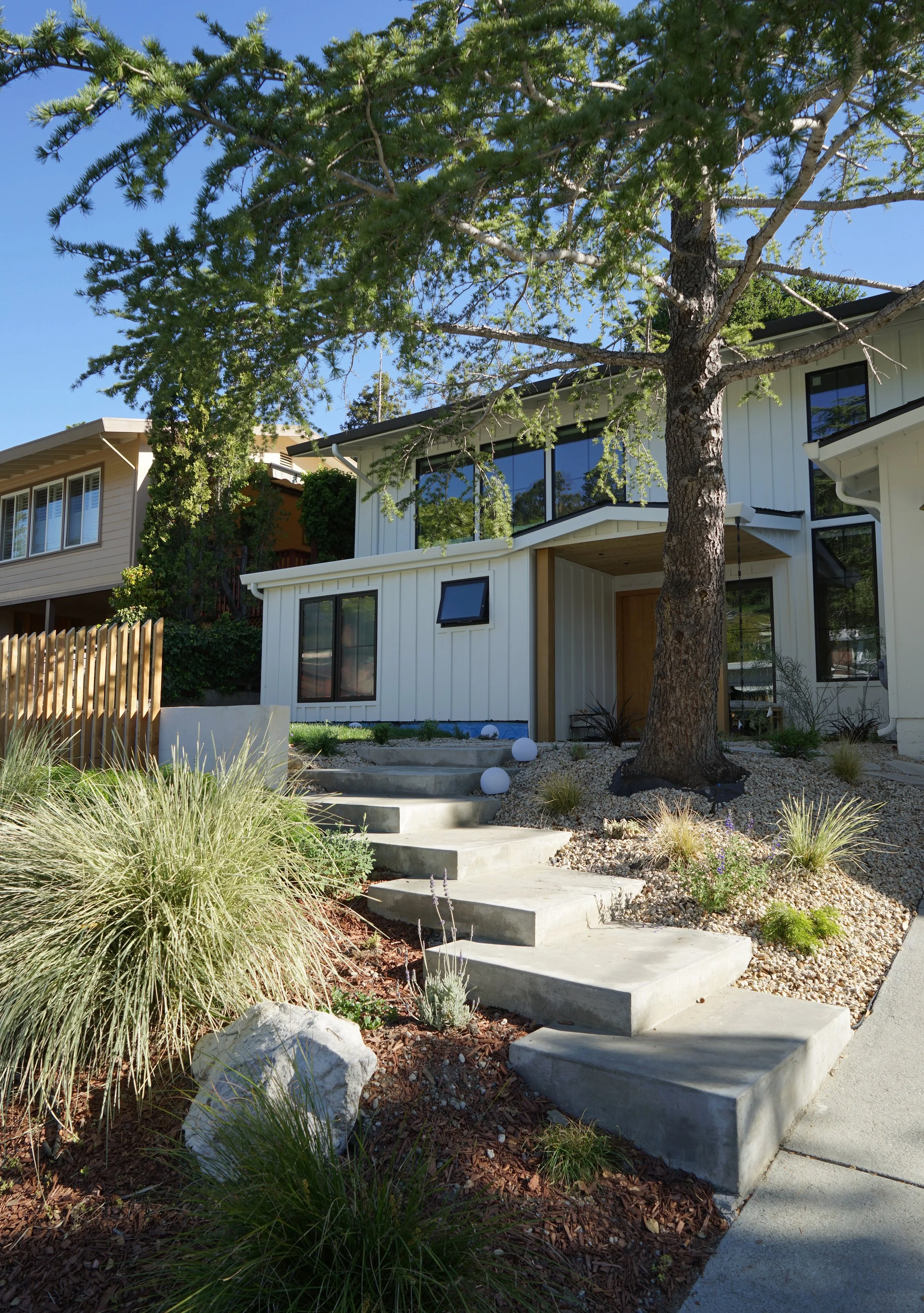 Modern white house with a large tree in front, concrete steps leading to the entrance, surrounded by desert-style landscaping with grasses, rocks, and small plants.