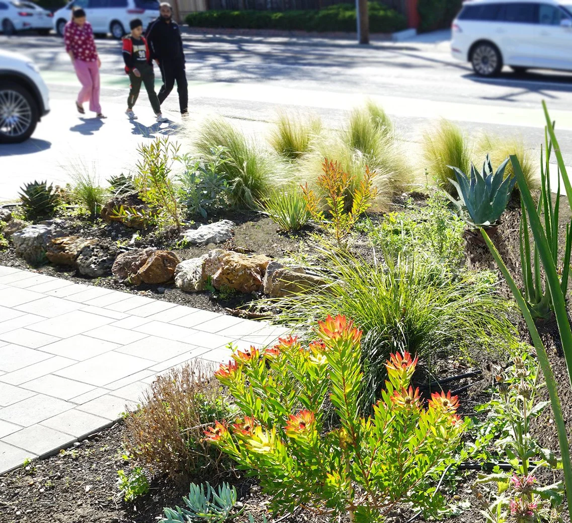 A sidewalk and landscaped area with various green and red plants, rocks, and ornamental grasses, with three people walking across the street in the background.