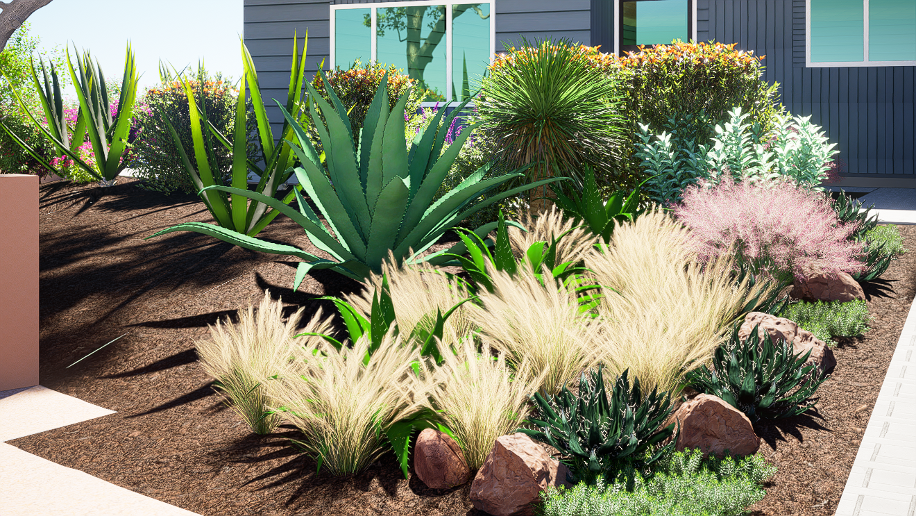 A landscaped garden with various succulents, grasses, and shrubs in front of a house with blue siding and large windows.