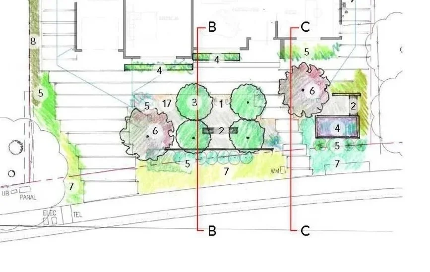 A landscape architecture plan showing trees, shrubs, and a small pool, with markings and labels indicating different plant types and layout details.