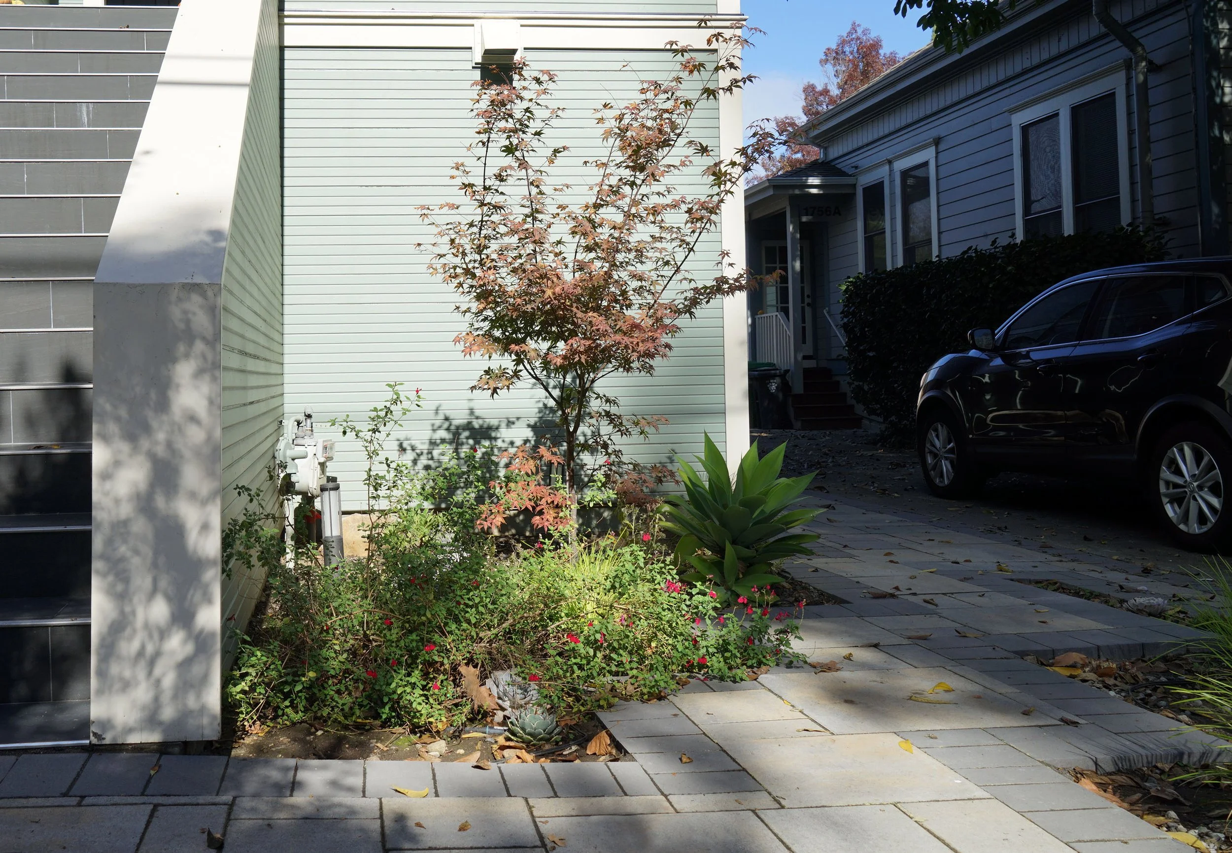 Residential front yard with a young tree, plants, sidewalk, driveway, house and parked car