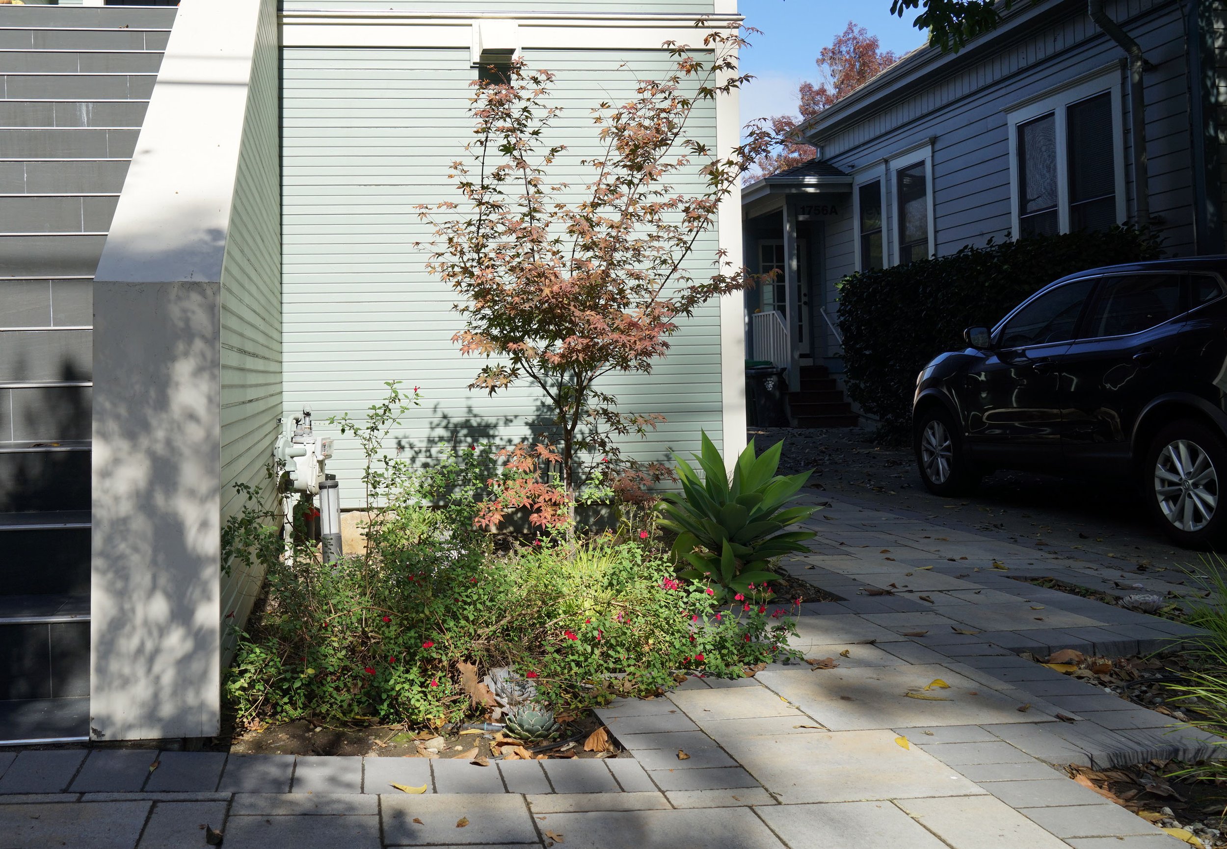 Side yard with small tree, green plants, and a driveway with a black SUV parked. Houses in the background and fallen leaves on the sidewalk.