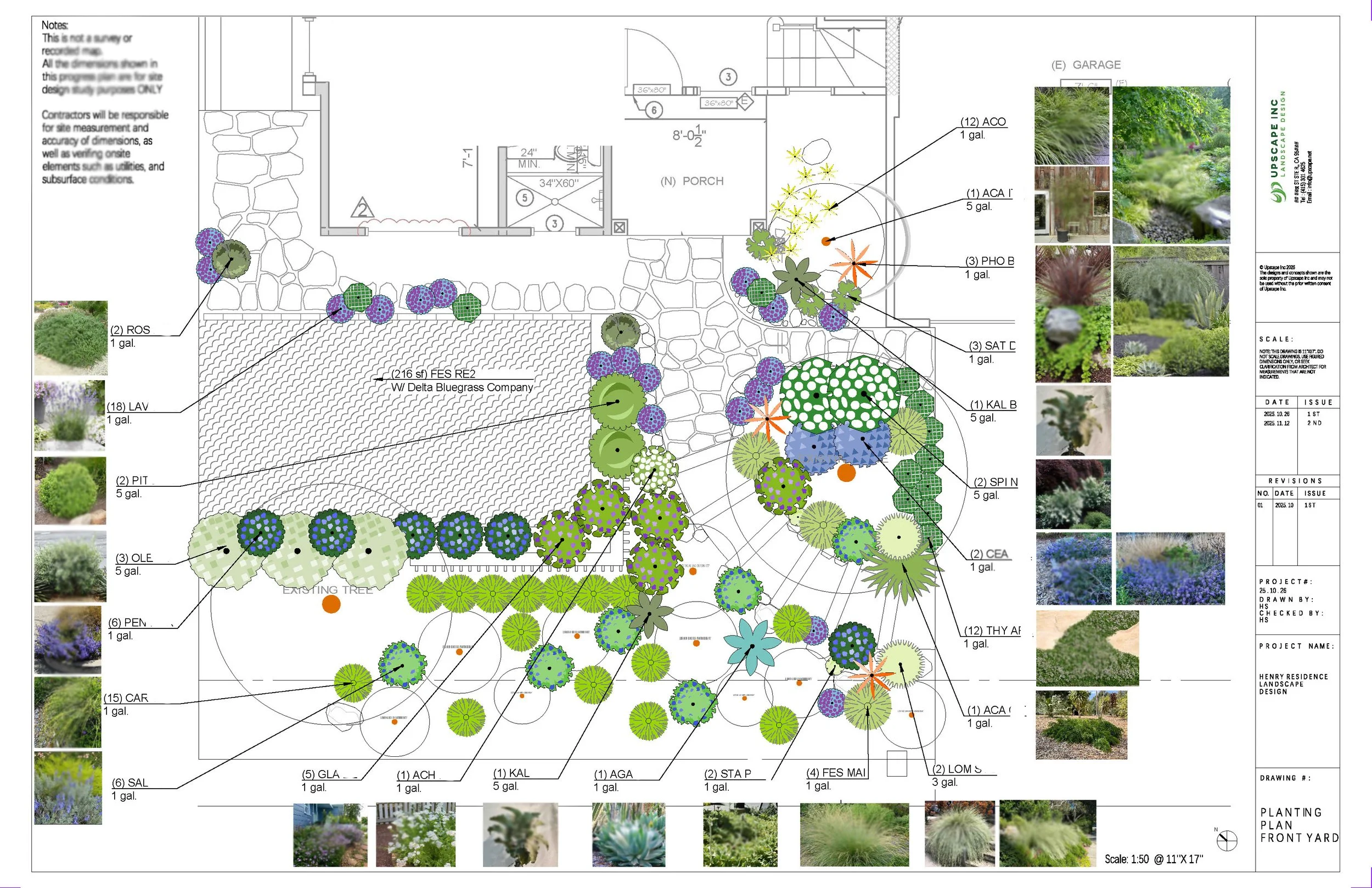 Front yard landscaping plan with various plants, pathways, and decorative elements, including labeled plant types and garden features.