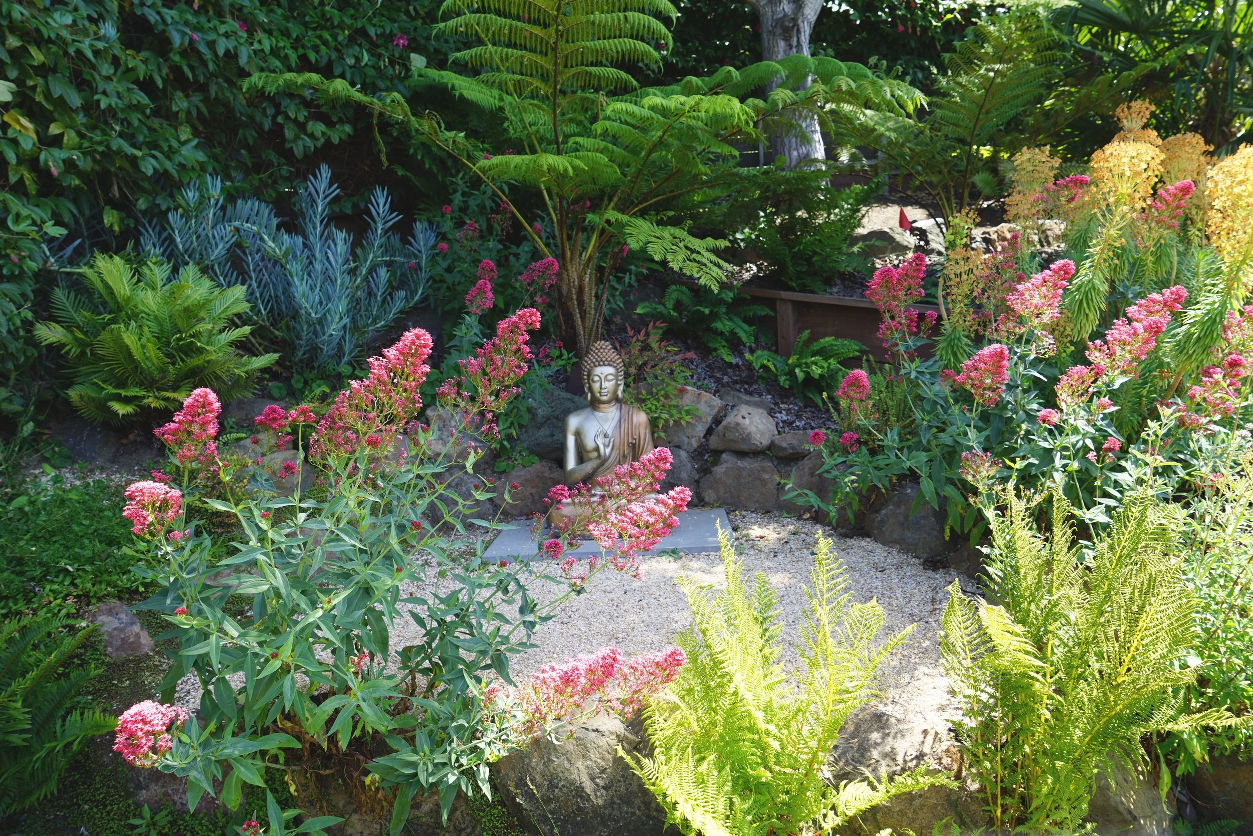A garden with a statue of Buddha surrounded by green plants and pink flowers.
