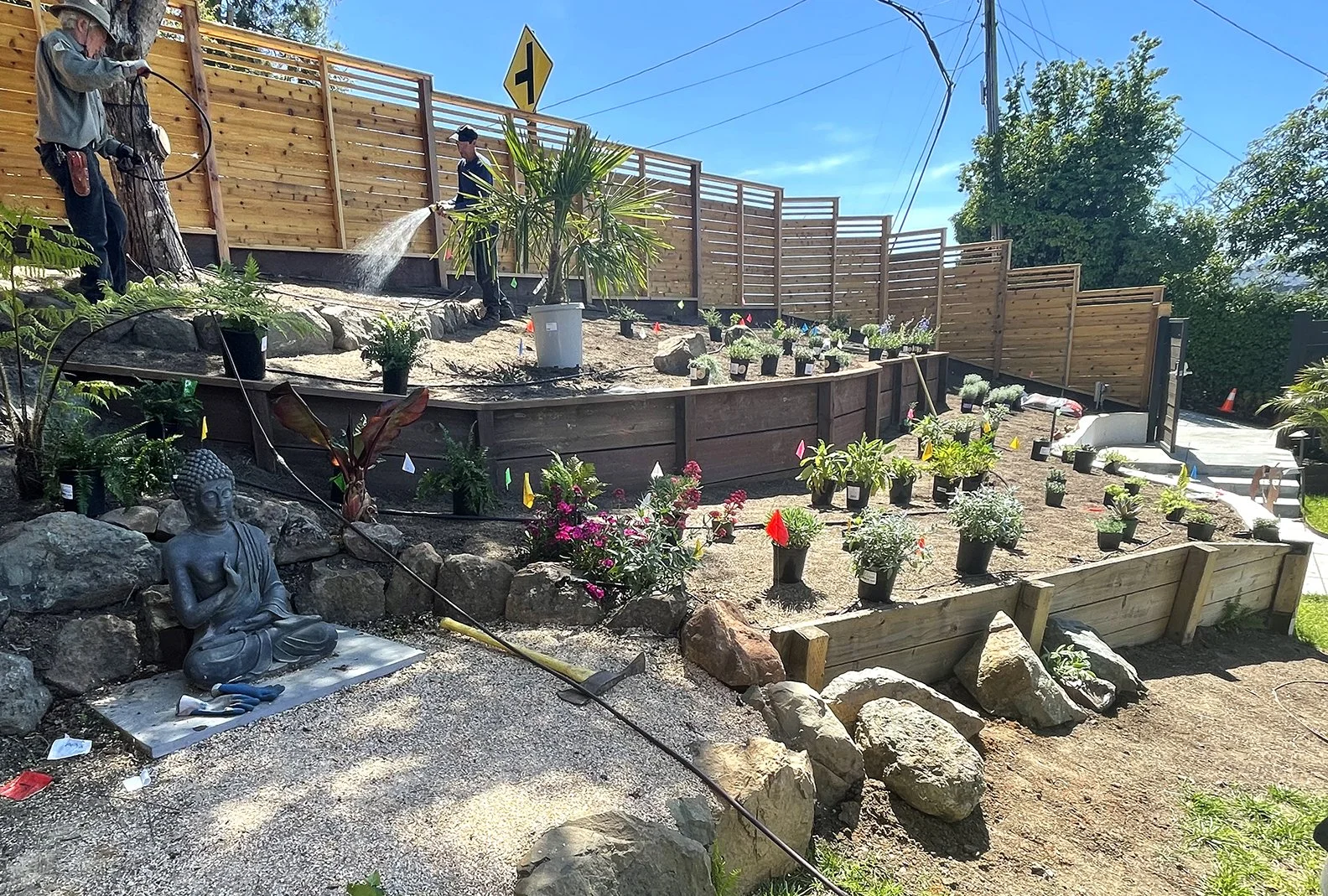 Plants Sourcing, Placement