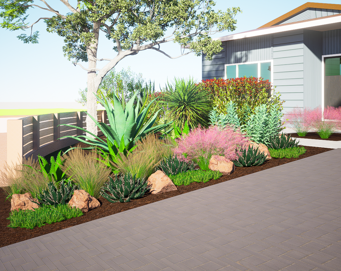 A landscaped garden with various succulents and desert plants along a paved pathway near a modern house with gray siding. There is a large tree in the background and colorful foliage.