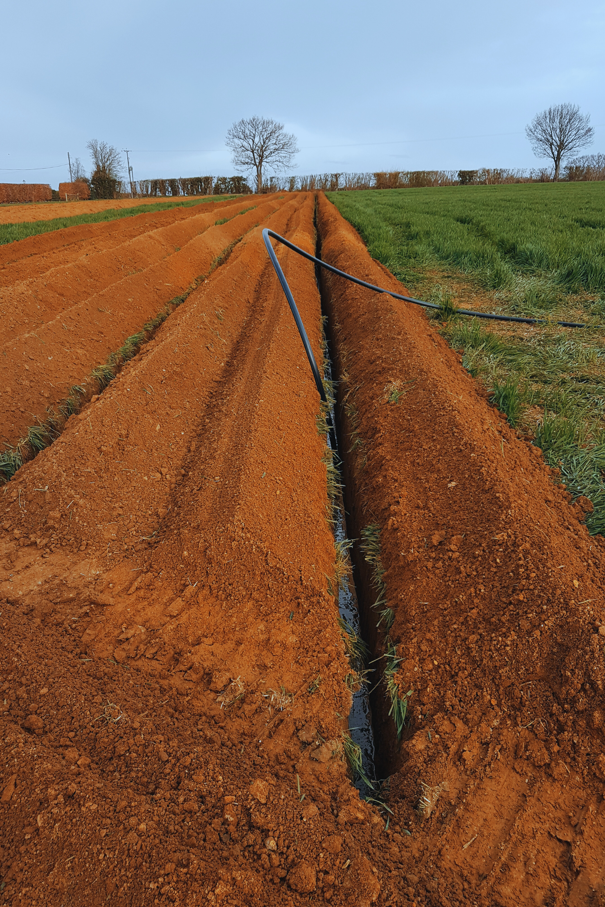 Ground Source Farm Dwelling .png