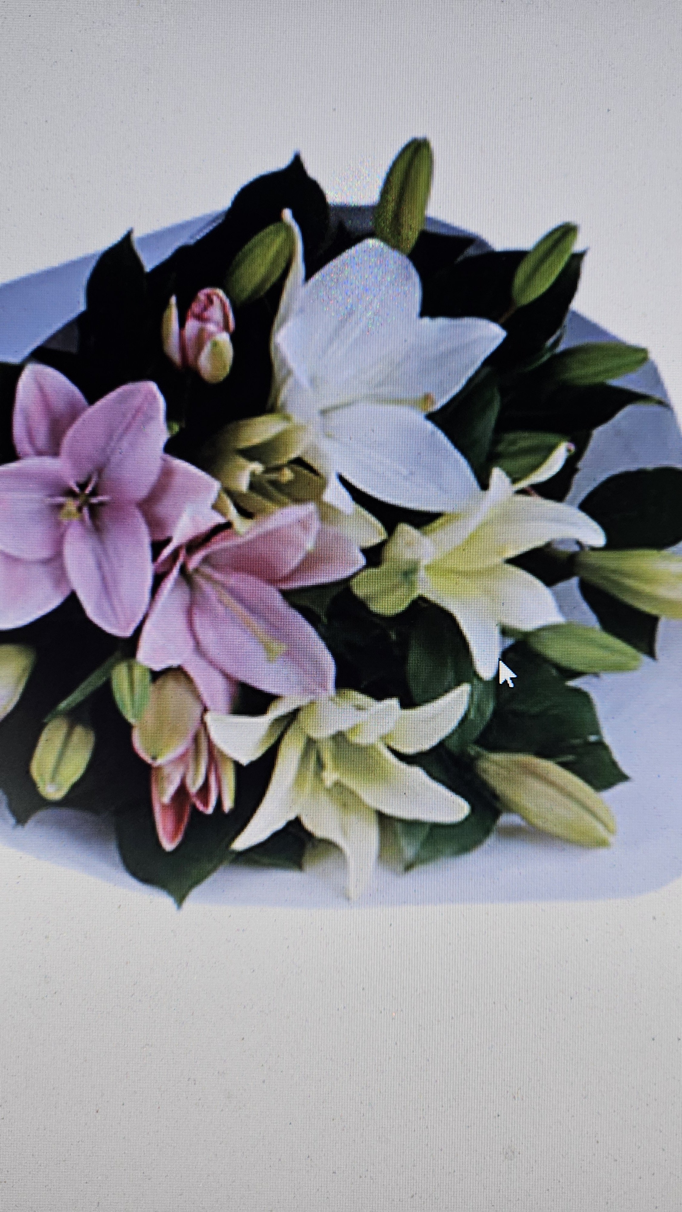Lillies Bouquet Pink and White.jpg