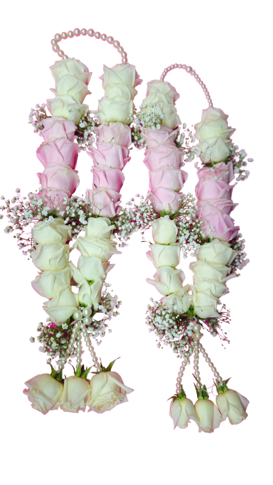 Untitled design (1).png