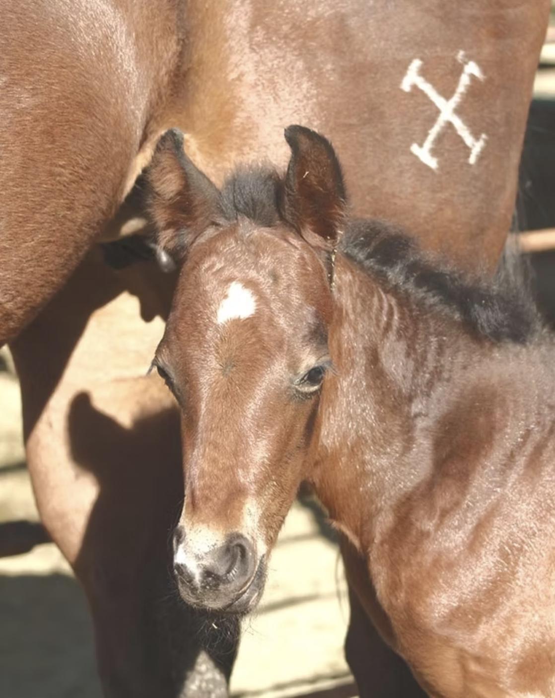 Screenshot 2025-05-07 at 3.34.31 PM.png