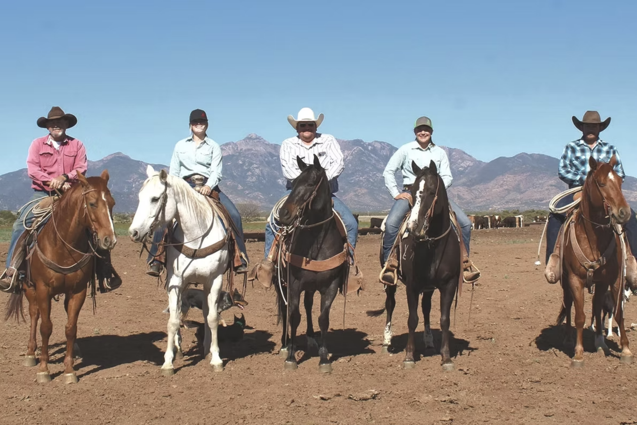 Screenshot 2025-05-07 at 3.34.18 PM.png