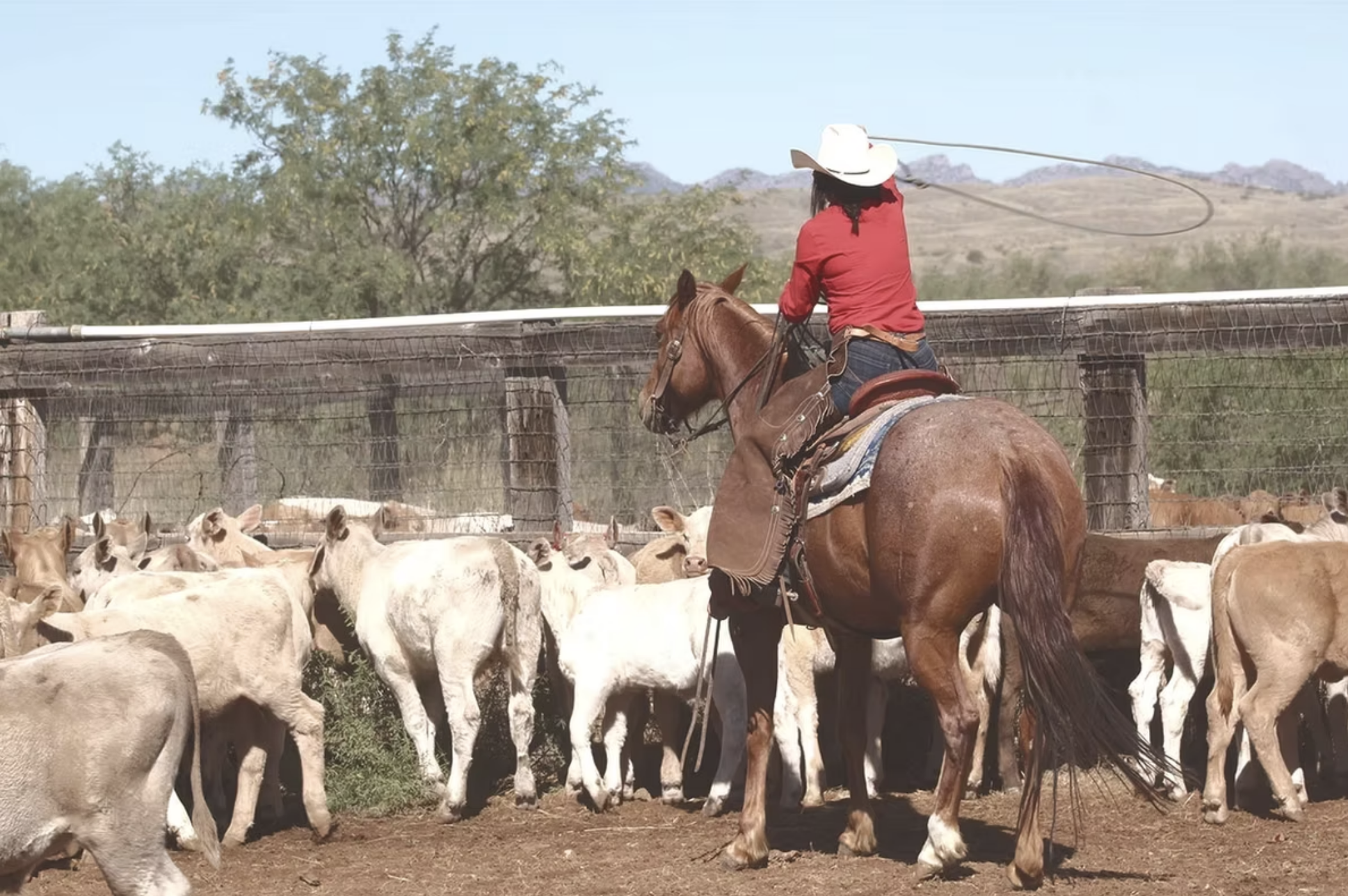 Screenshot 2025-05-07 at 3.34.02 PM.png