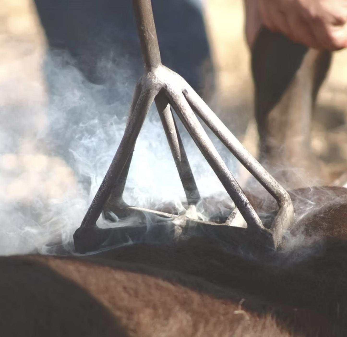 Screenshot 2025-05-07 at 3.33.36 PM.png