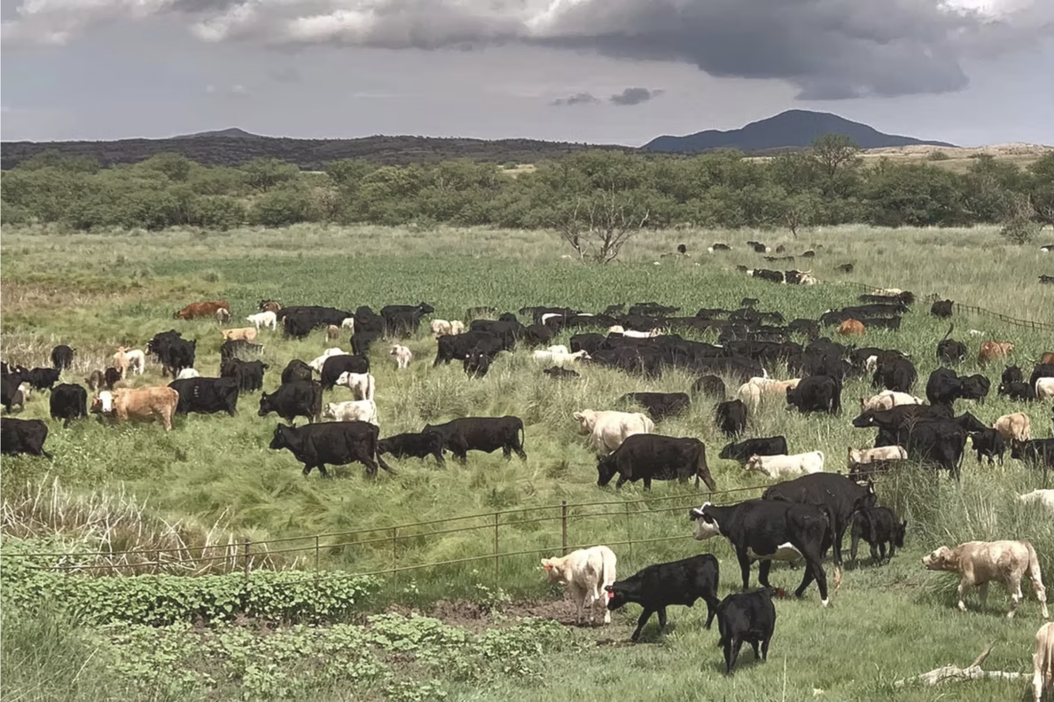 Screenshot 2025-05-07 at 3.33.25 PM.png