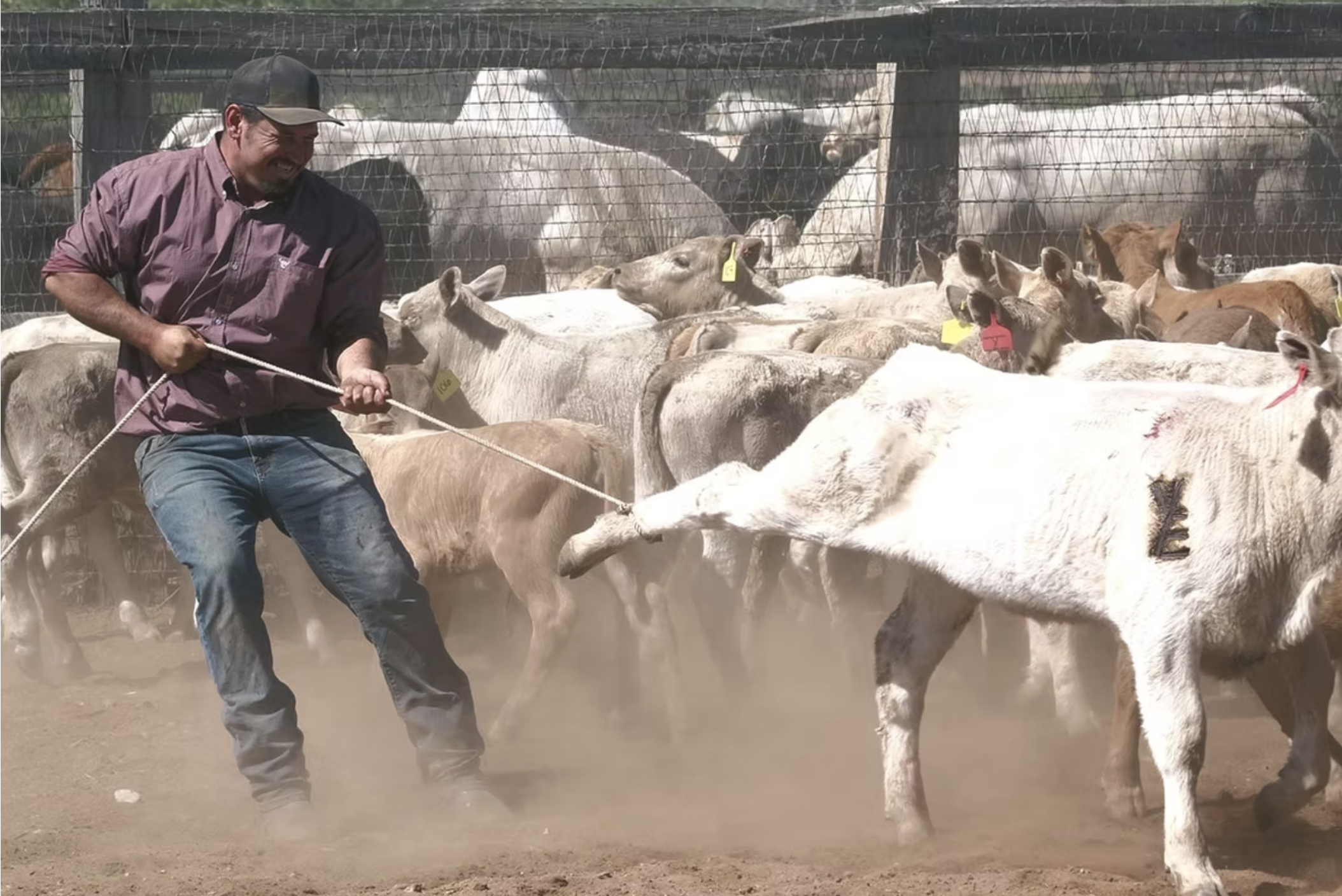 Screenshot 2025-05-07 at 3.33.10 PM.png