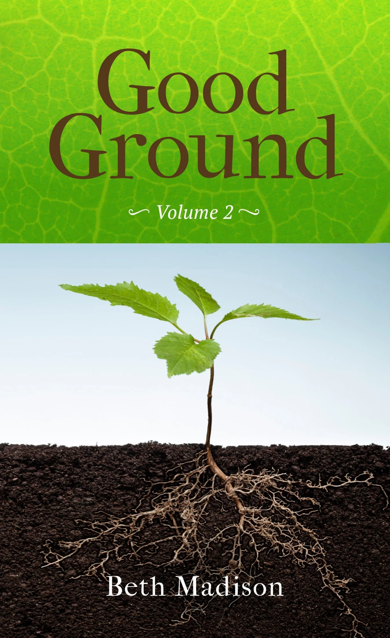 Good Ground Vol 2 - Beth Madison.jpg