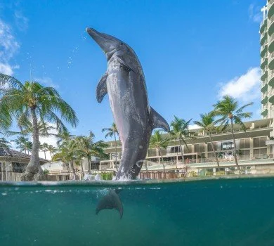 Kahala Resort Retreat - Setting Expectations