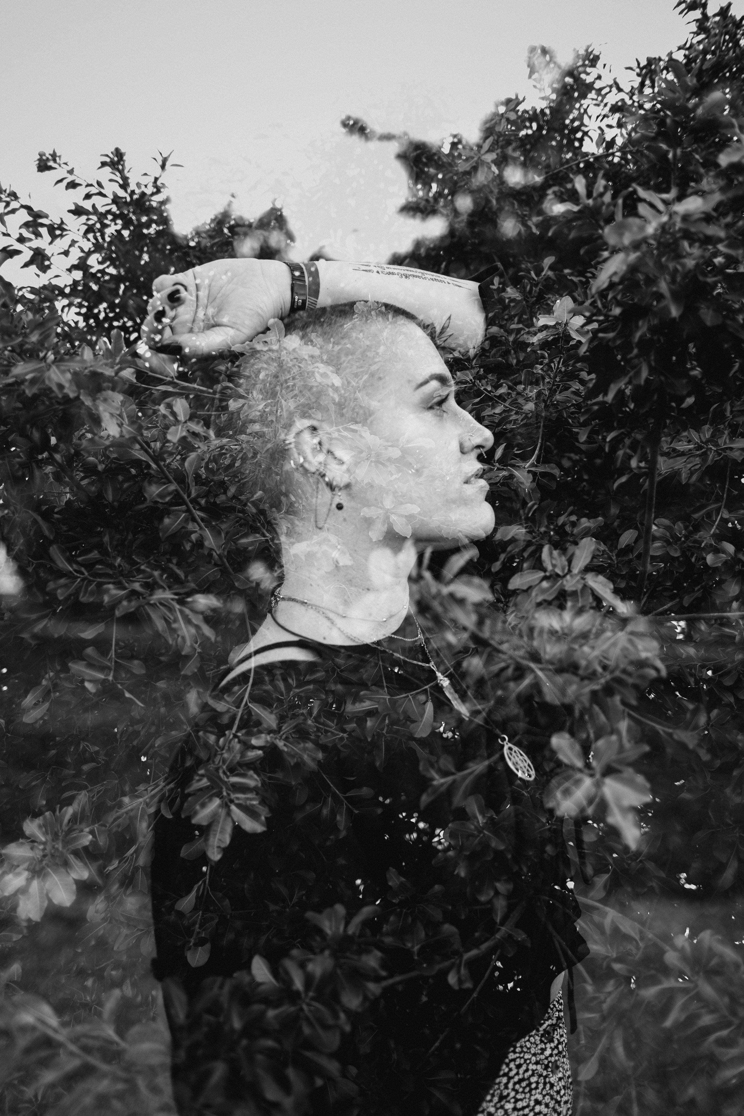 Jill Denny Photography portfolio image 6