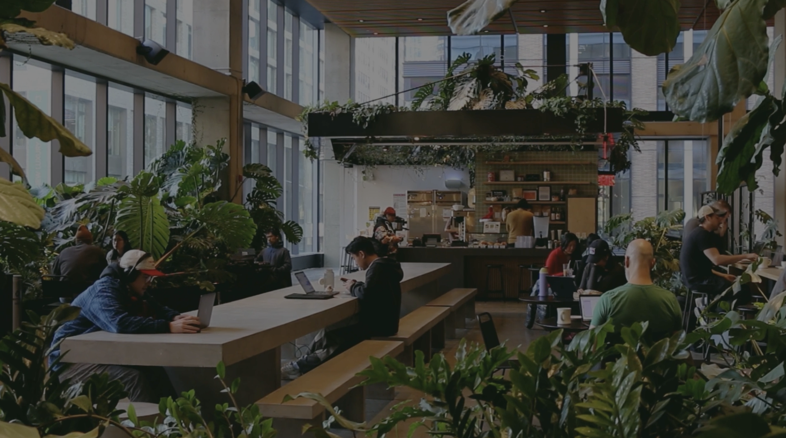 georgies cafe bar nyc les.png