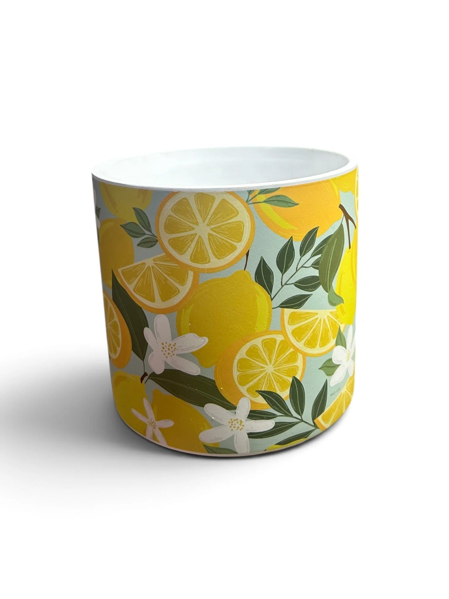 Lemon Pattern Plant Pot - 5" fit