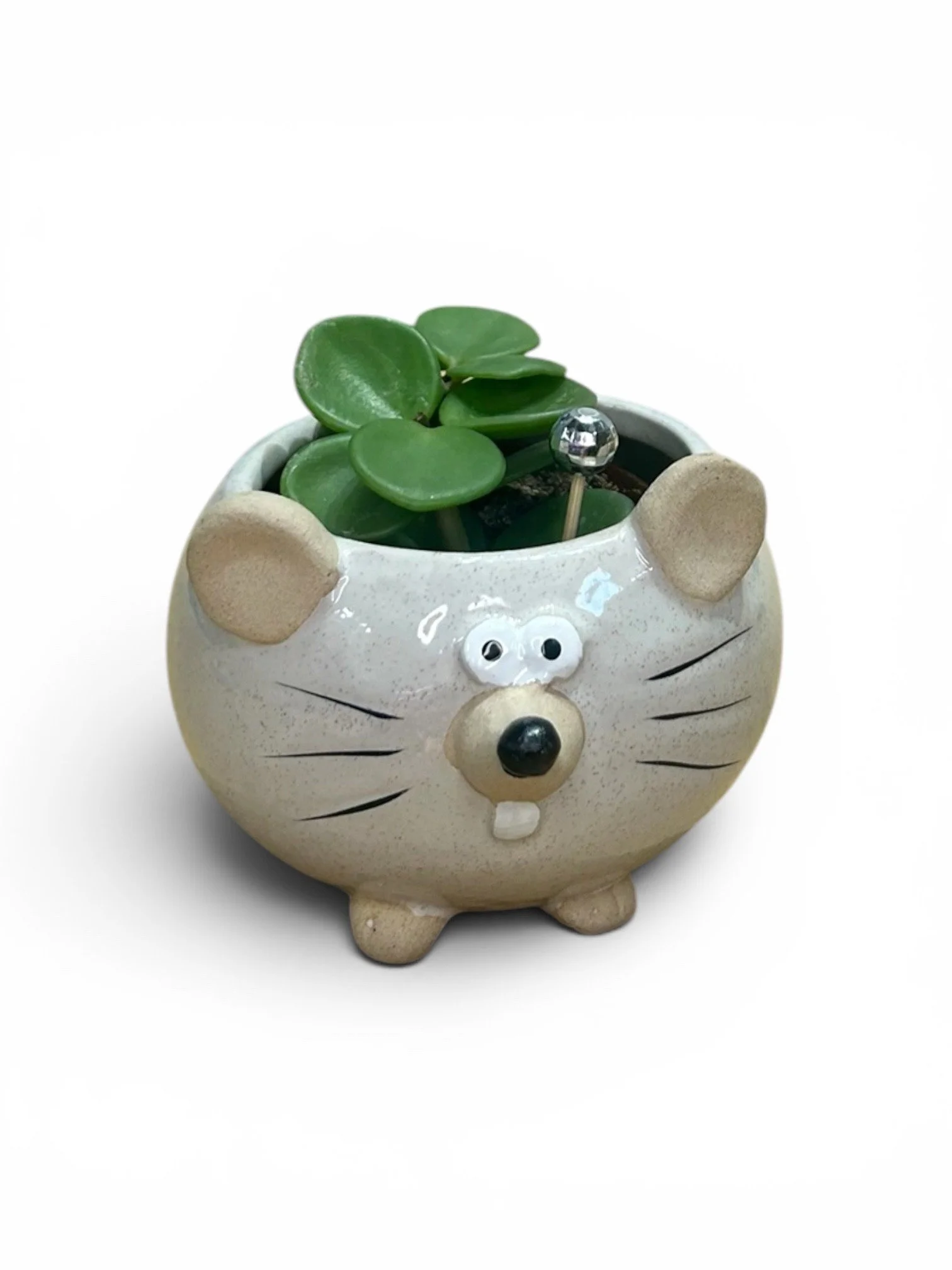 mouse-planter-gift-ready-easy-care-houseplants-calgary-plant-urban.jpg