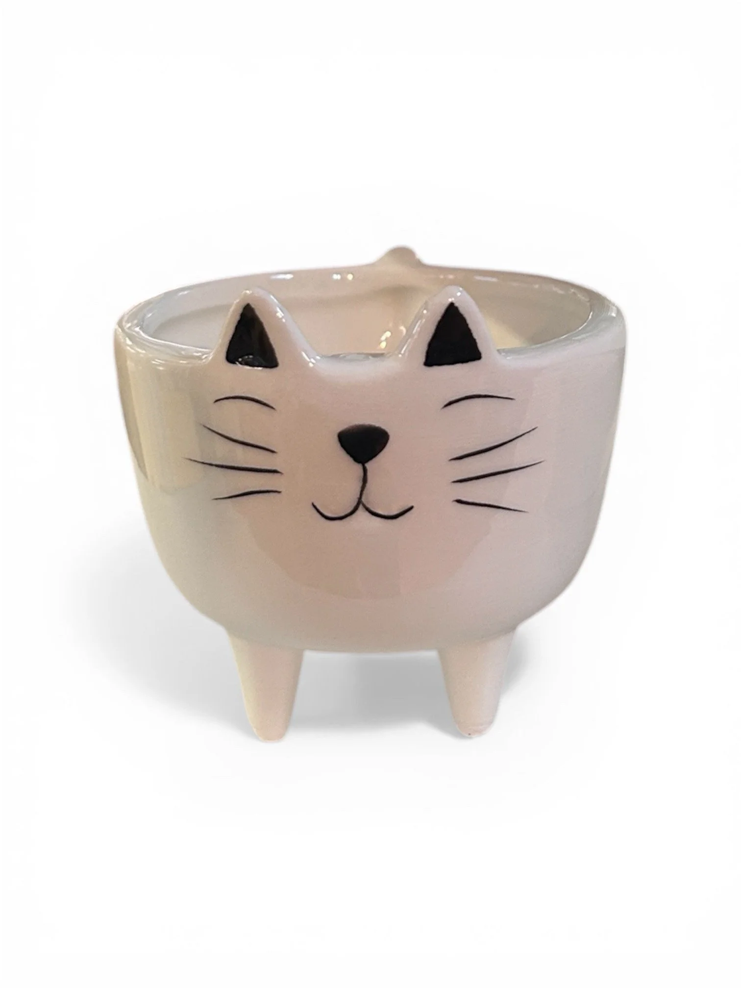 cat-planter-gift-houseplant-calgary-urban-plants-house-plant-gift.jpg