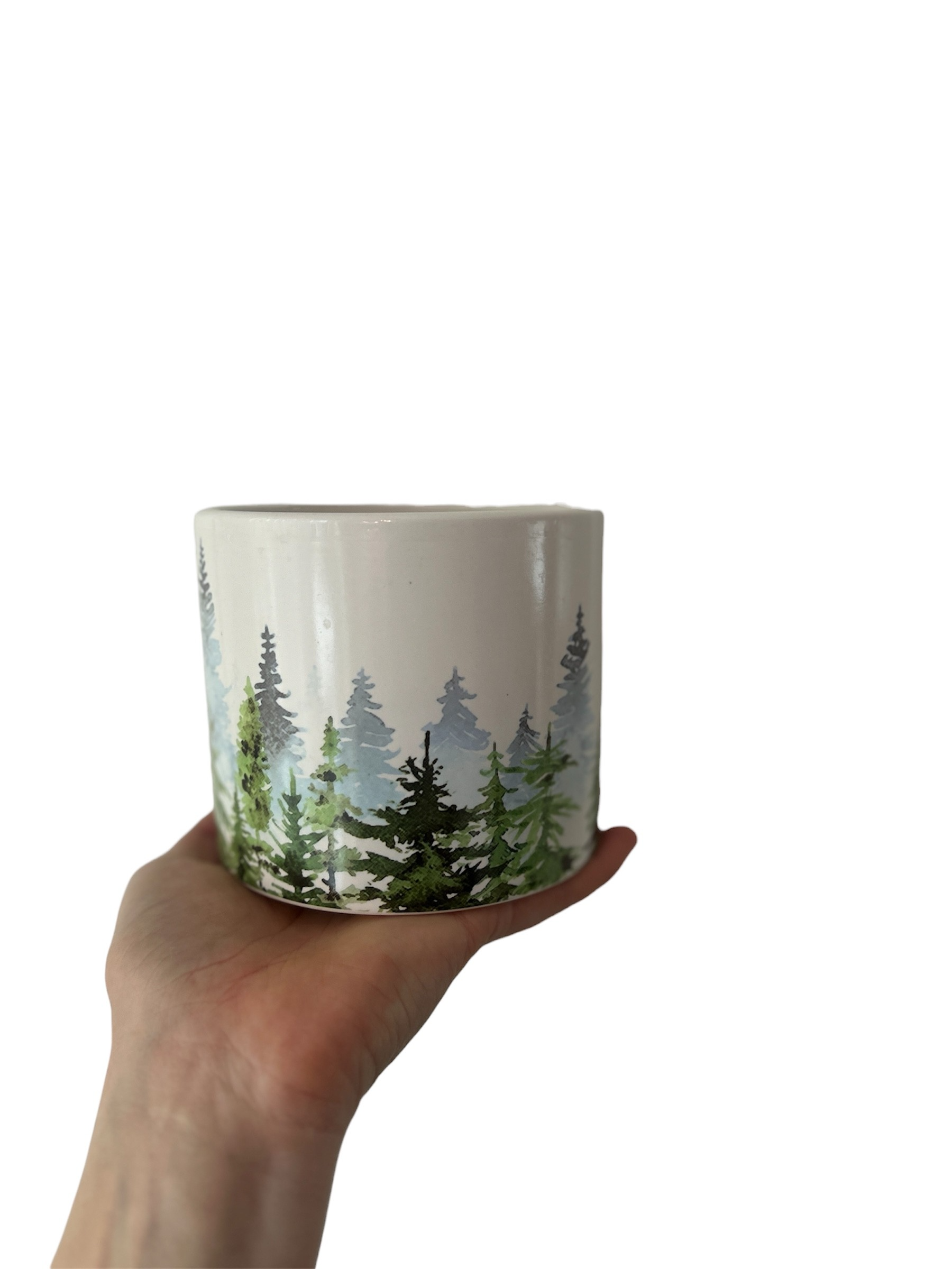 Evergreen Tree plant Pot - 4" fit