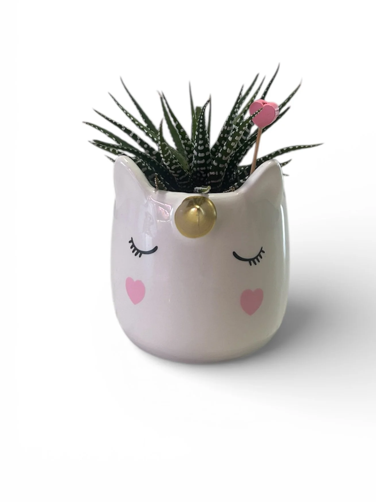 calgary-indoor-houseplant-valentine-gift-decorative-unicorn-planter.jpg.png