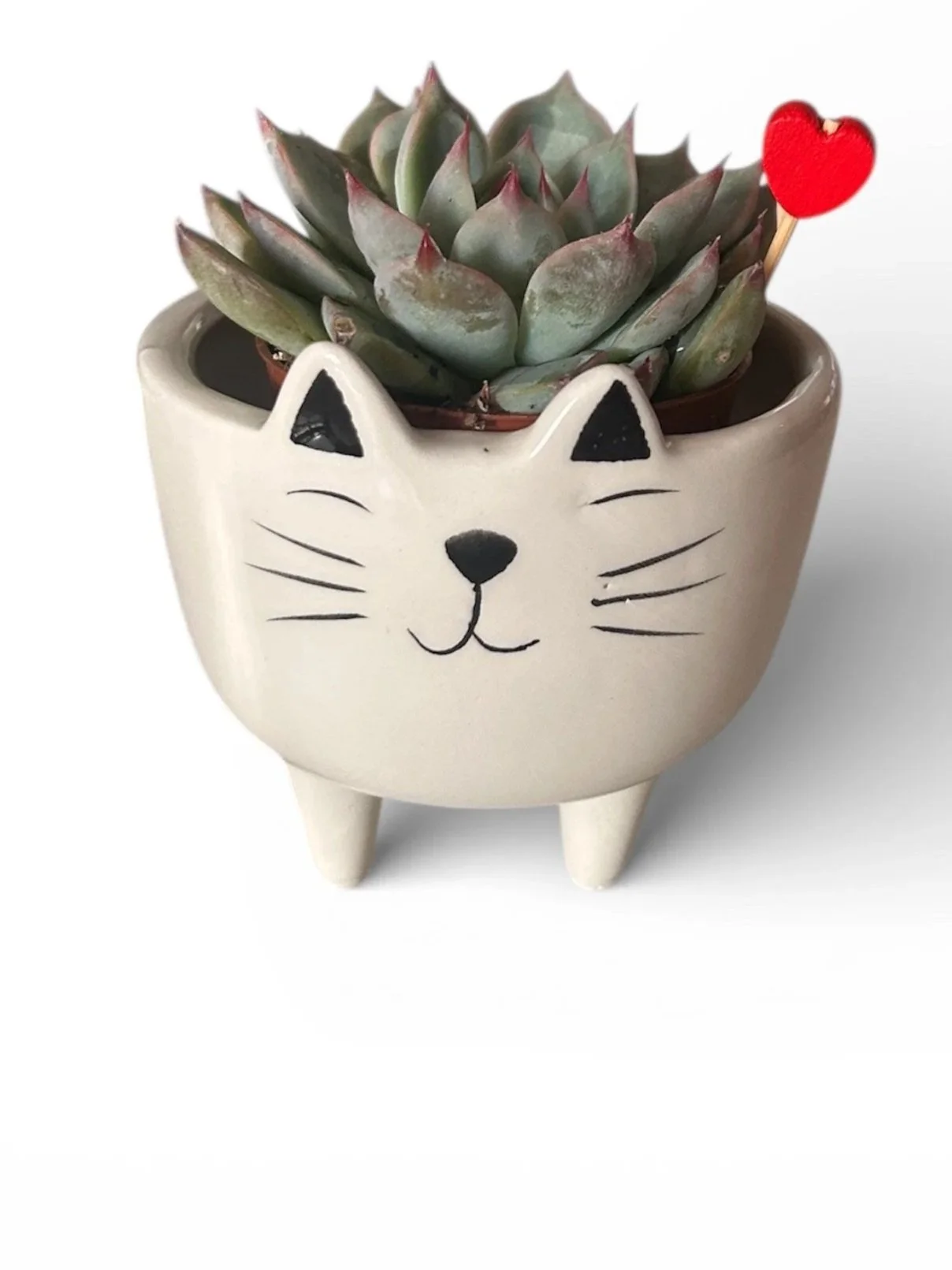 calgary-indoor-houseplant-decorative-cat-house-plant-gift-planter.jpg