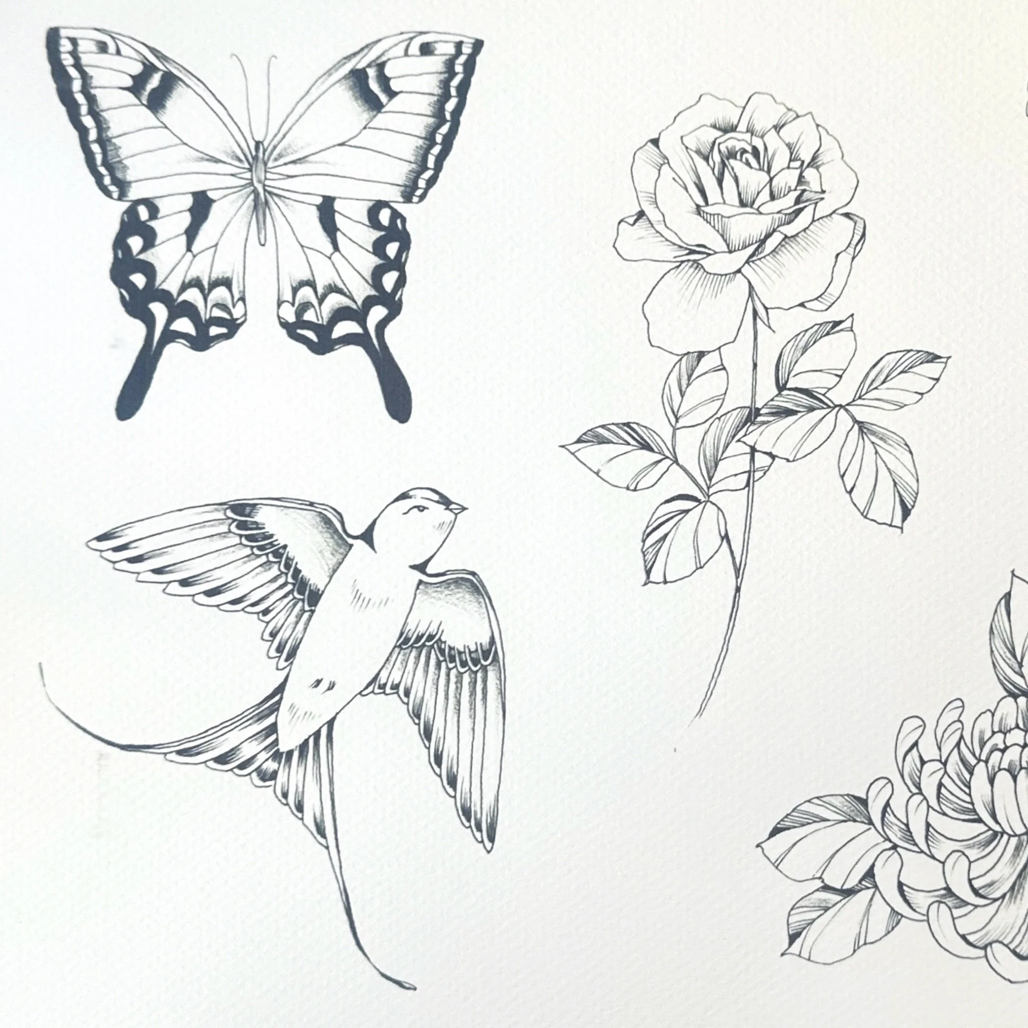 Untitled_Artwork 27.jpg