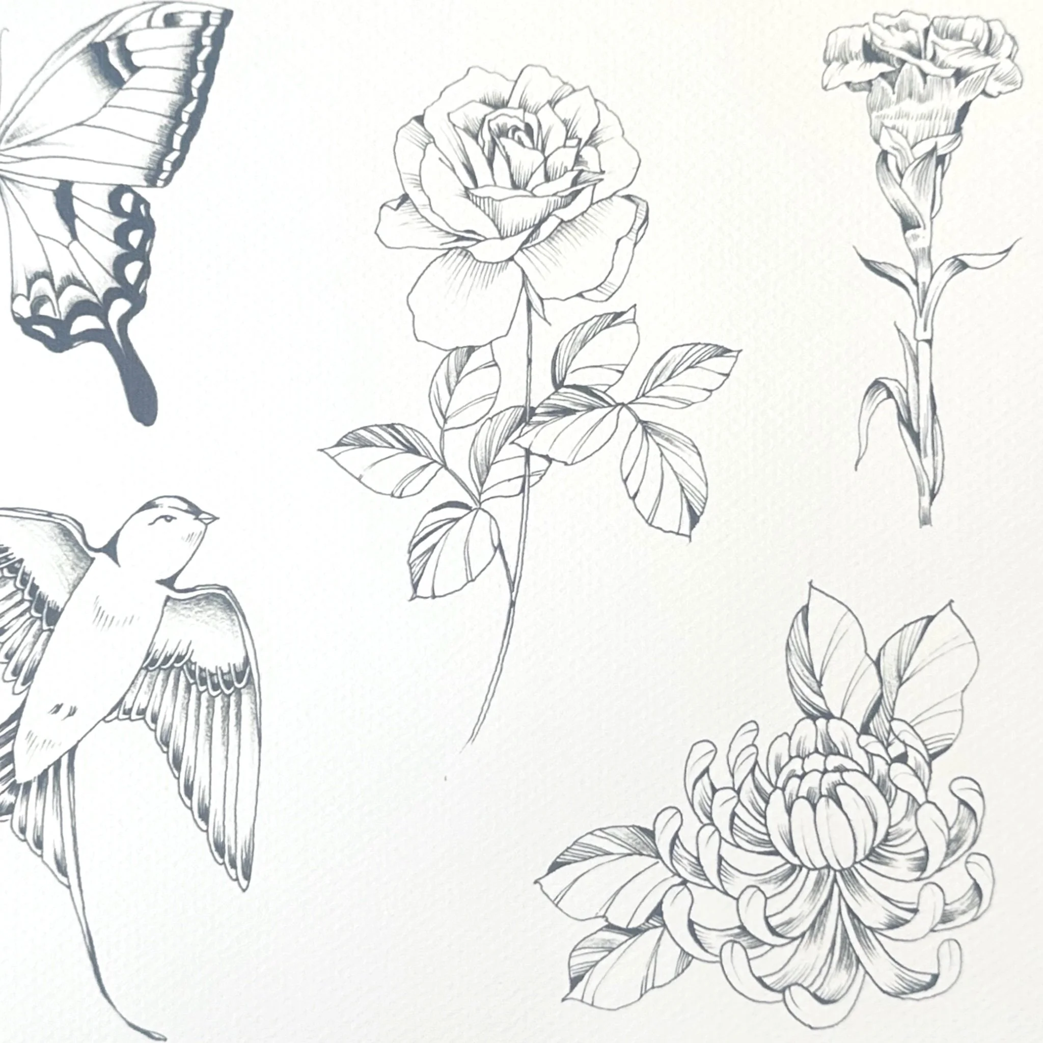 Untitled_Artwork 28.jpg