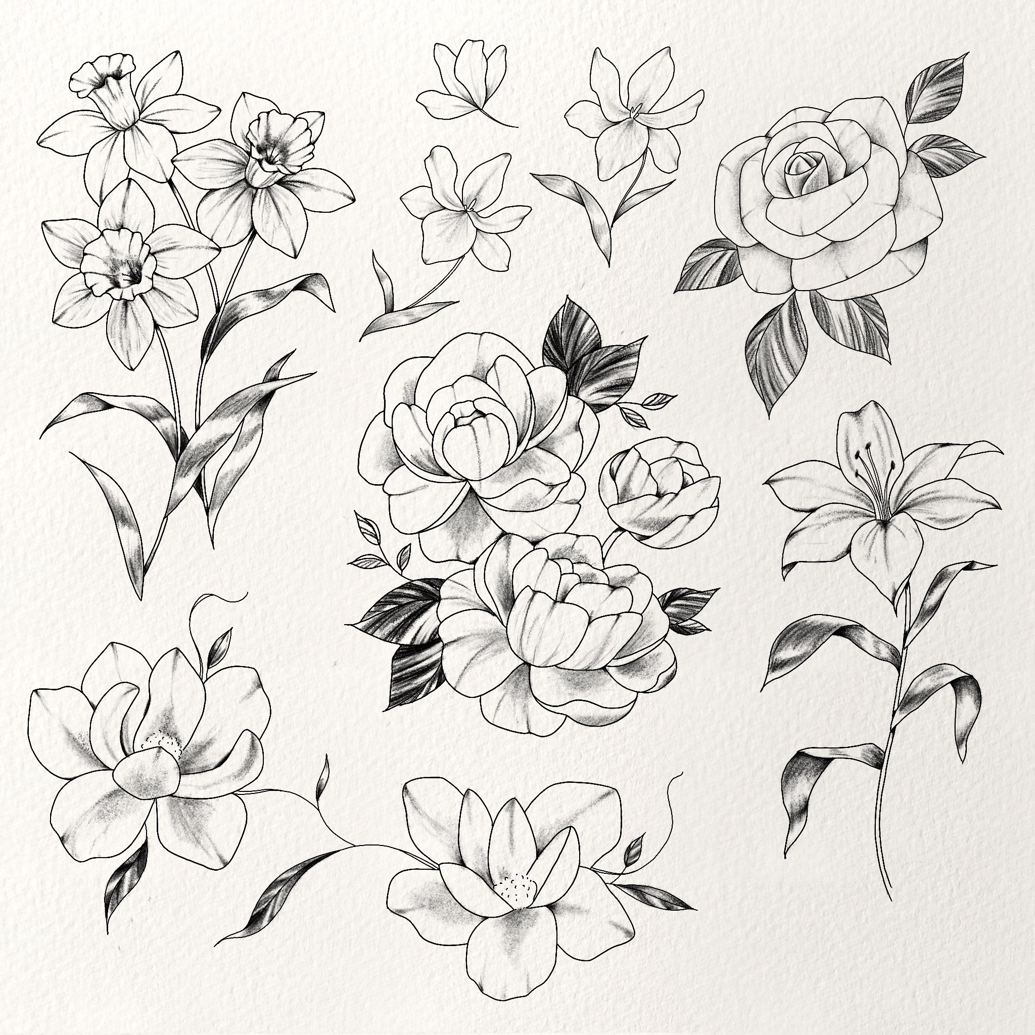 small flowers- 1-2”, $150
larger flowers- 3-5”, $300-$450