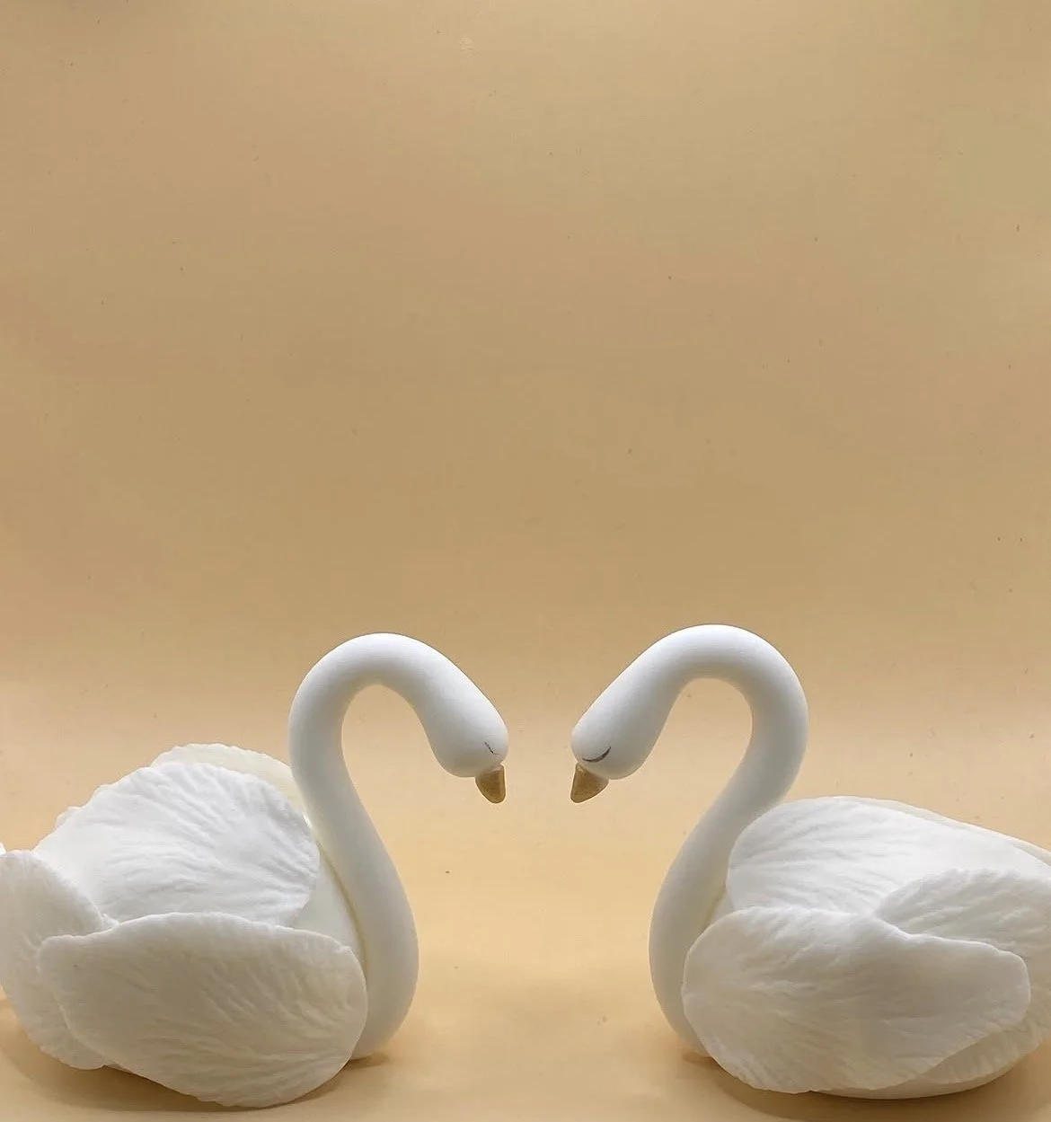 Two White Swans