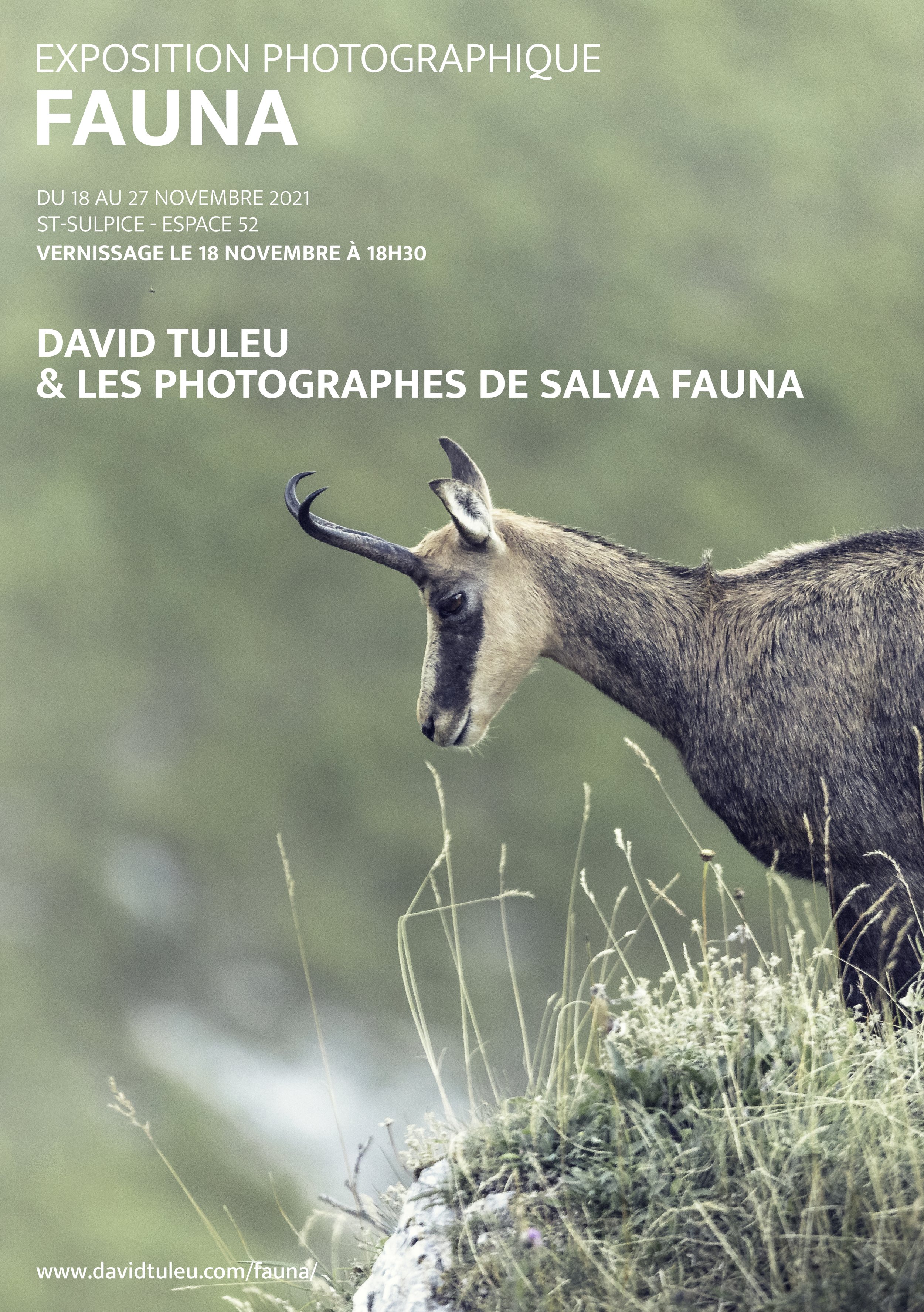 Exposition FAUNA