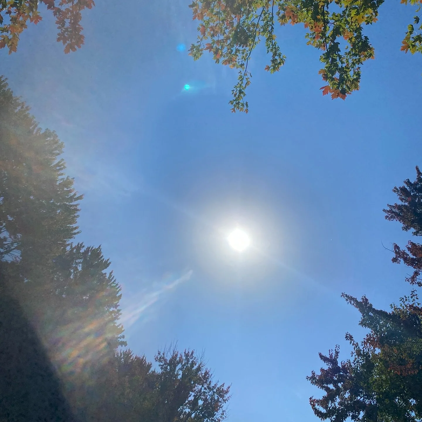 This great love 

This great love reflects itself on the world
Like the sun shining to my heart
Its light reflected to all that I did not love

As naturally as it Is
Without feeding or denying it
It lives.
On its own.

With this light through me, I c