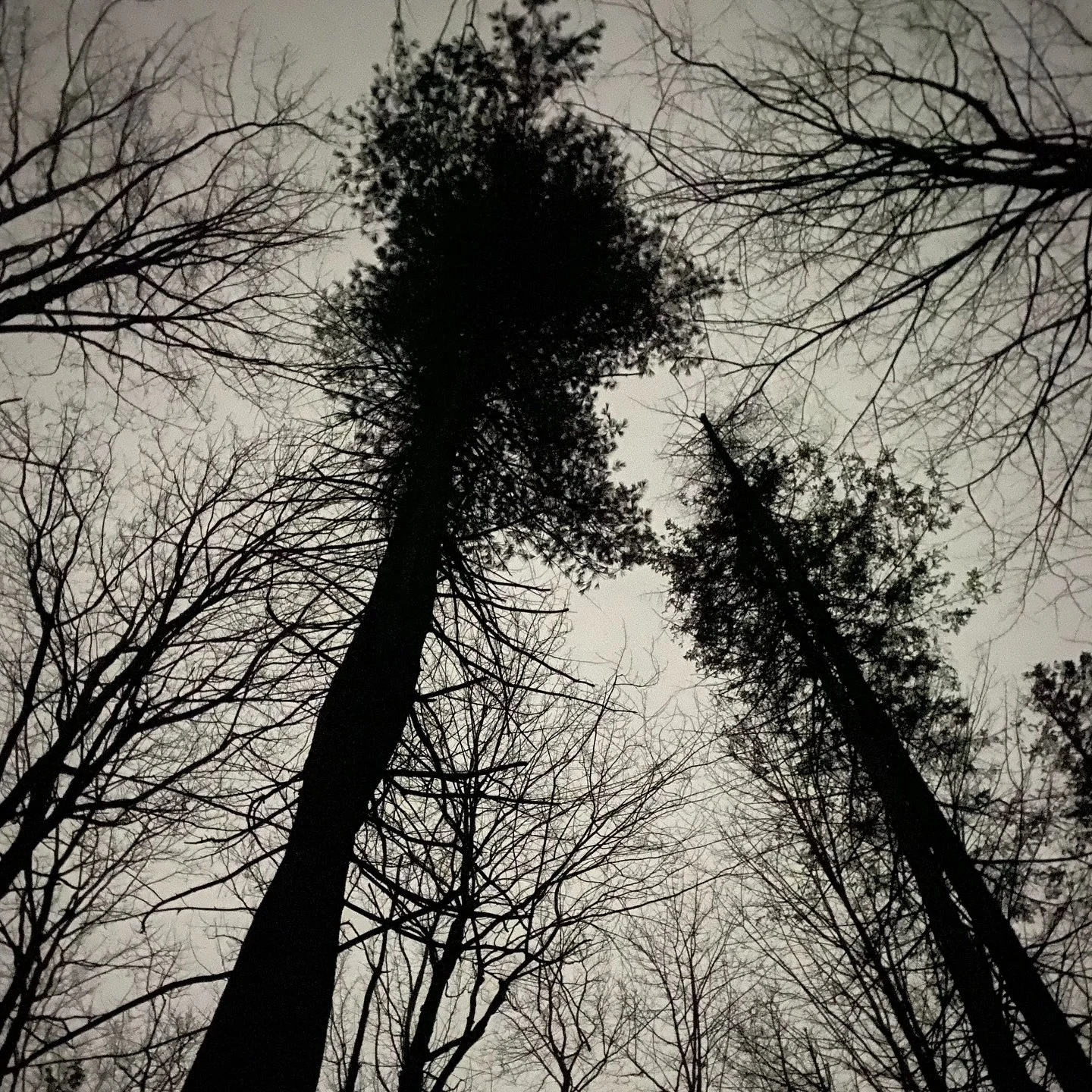 Only there, we can meet

We can only meet in the quiet
Where words vanish
There, only, you and me
Have a life of our own
We can only meet in non-doing
Where control vanishes
With our hearts naked
There, only, we can see
We are not alone
We can only m