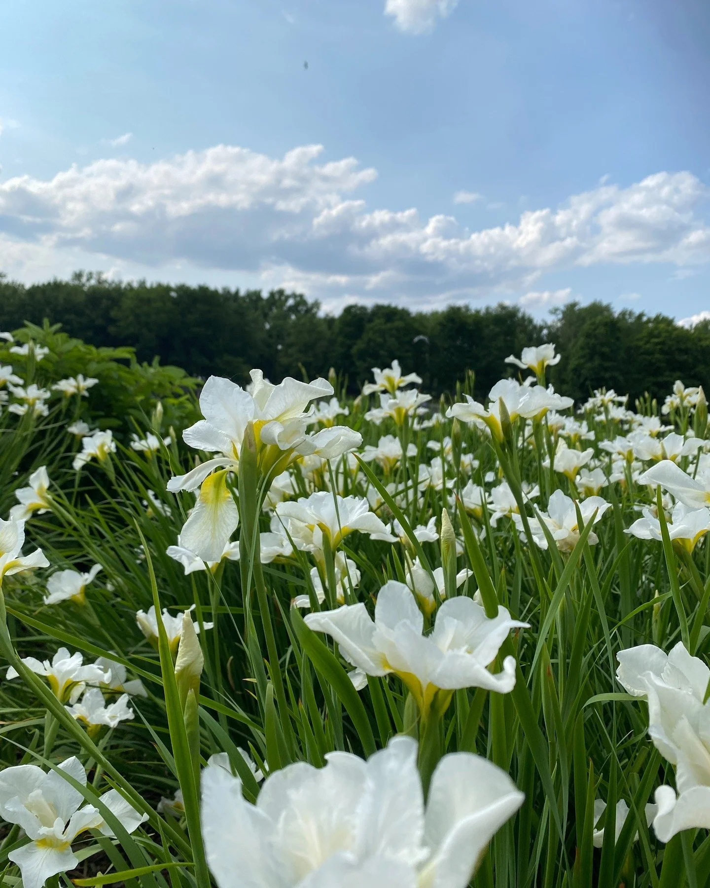 The longing for Real Sex

Is something most of us are cursed with
We know it exists
Yet it escapes us
We feel it in our bones
We know it in our hearts
But then it all gets blurred 
By the casual
By satisfaction
By all the lies
We are told and chose t